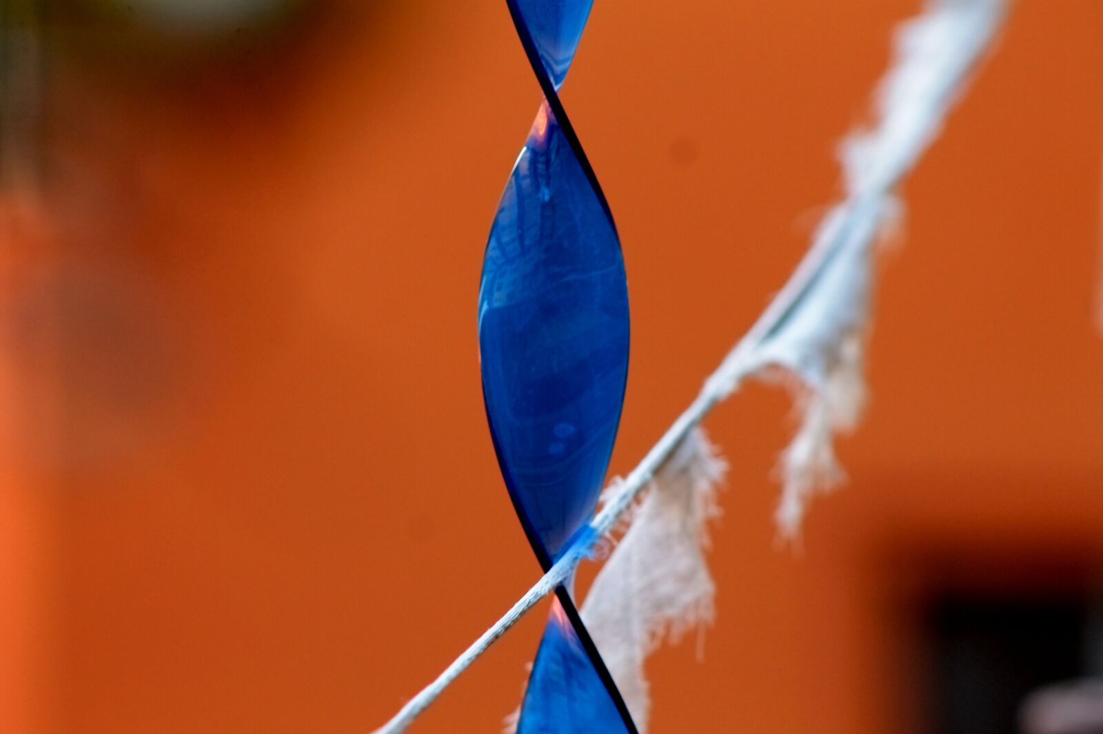 Canon EF75-300mm f/4-5.6 sample photo. Particular, dna, form photography