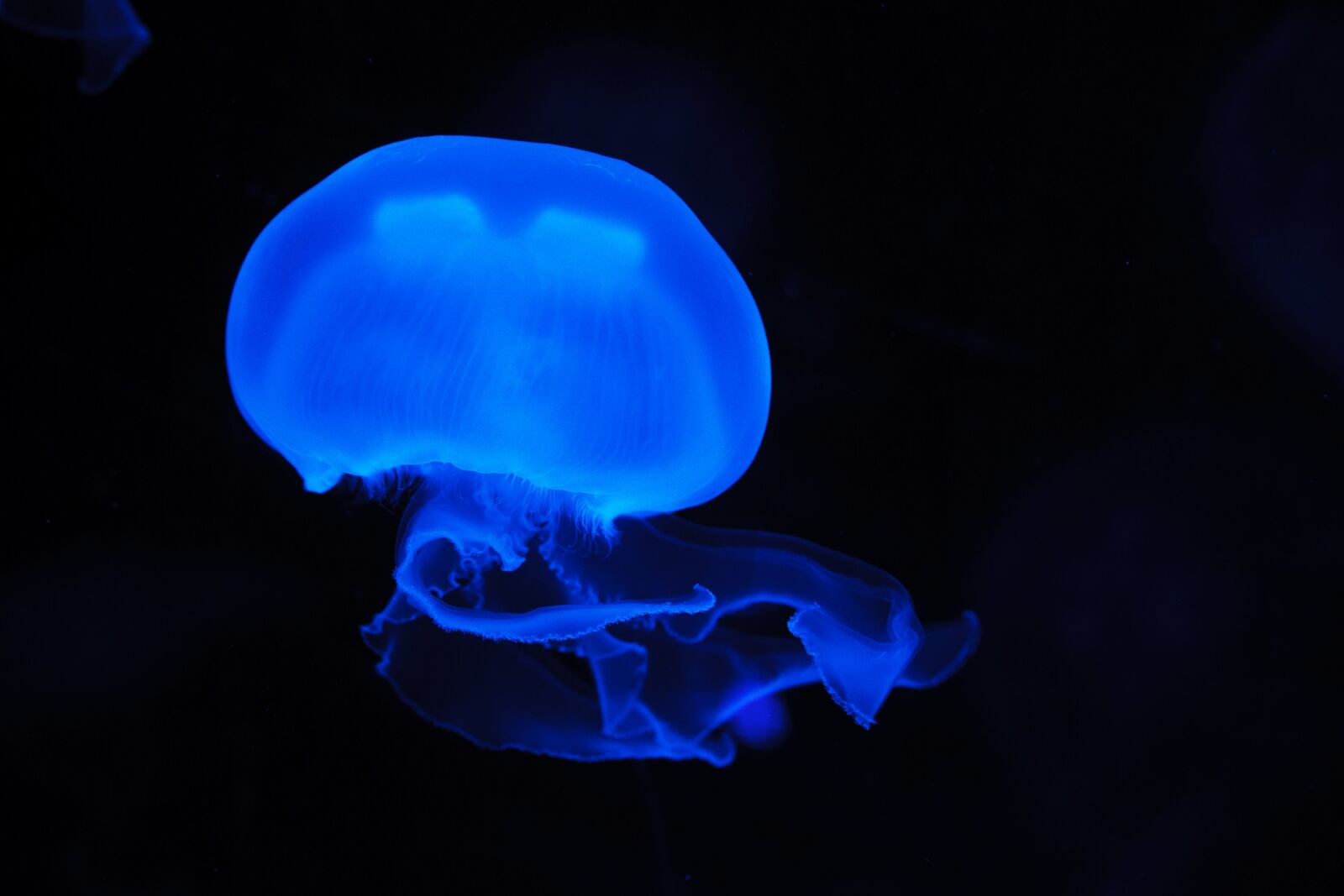 Canon EOS 5D Mark II sample photo. Sea, nature, blue, dark photography