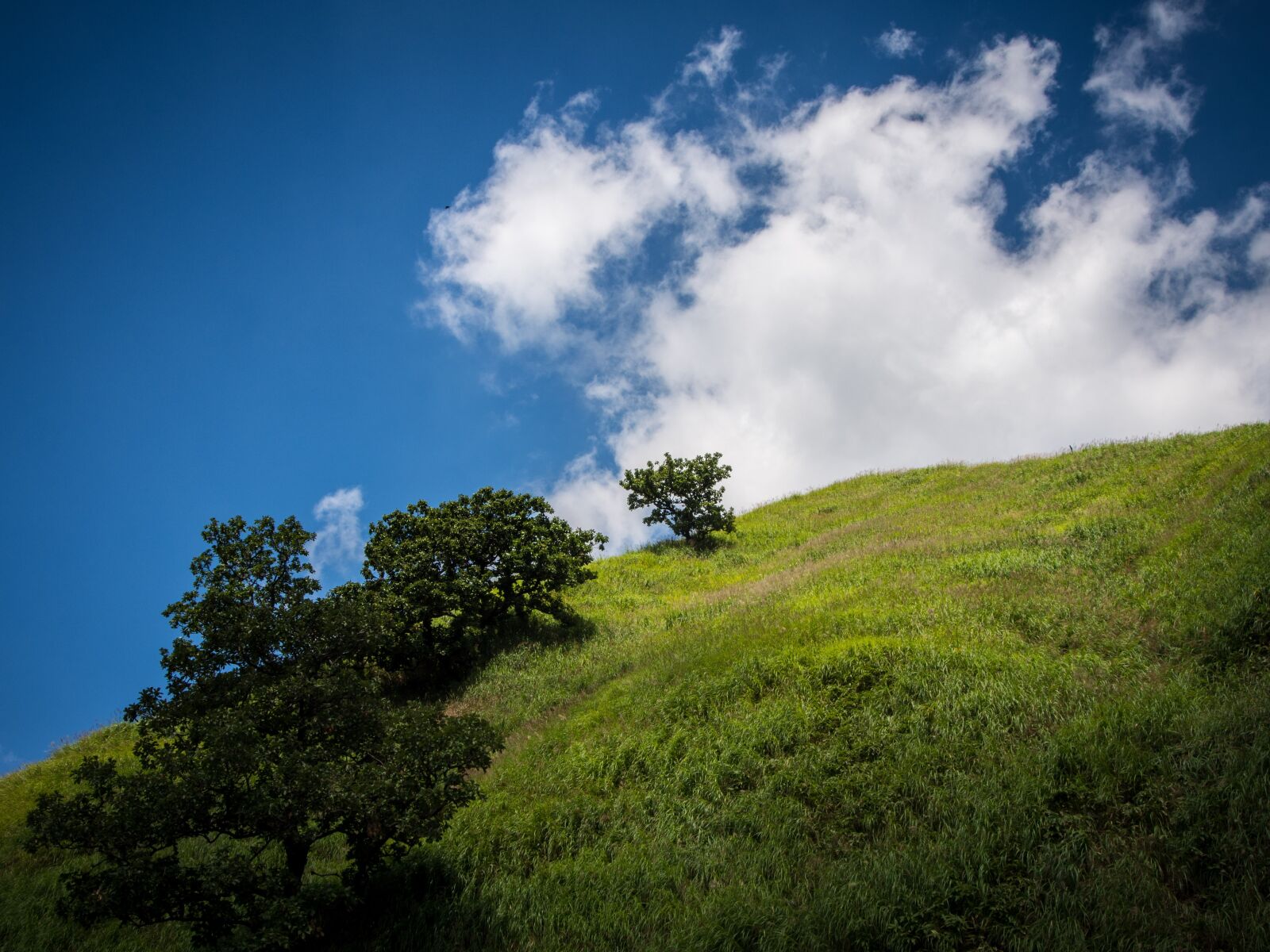 OLYMPUS M.12-50mm F3.5-6.3 sample photo. Japan, minami aso, sky photography