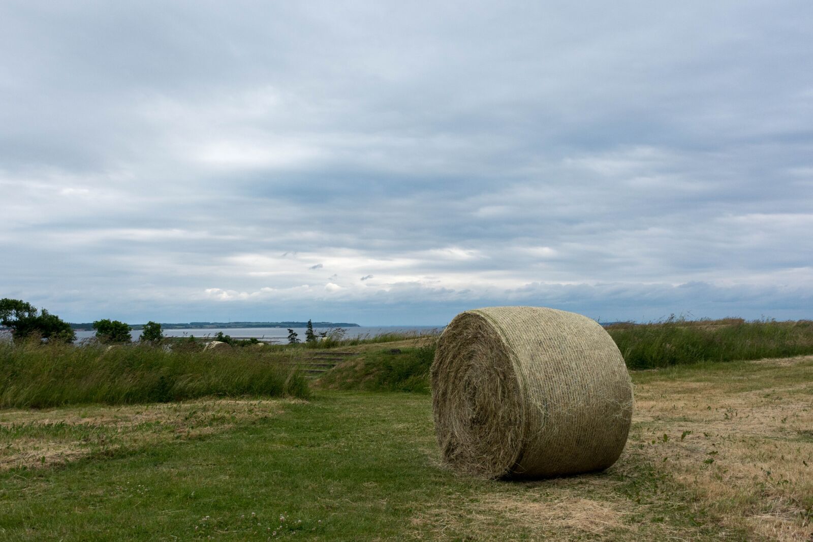 Nikon D7200 sample photo. Landscape, the dome of photography