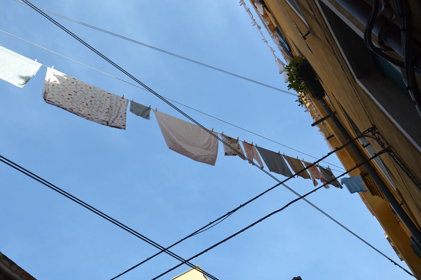 Nikon D3100 sample photo. Clothes line, laundry, hanging photography