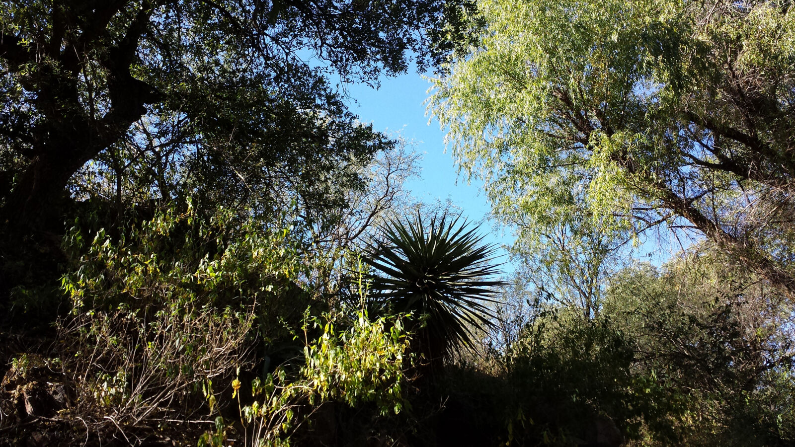 Samsung Galaxy S4 sample photo