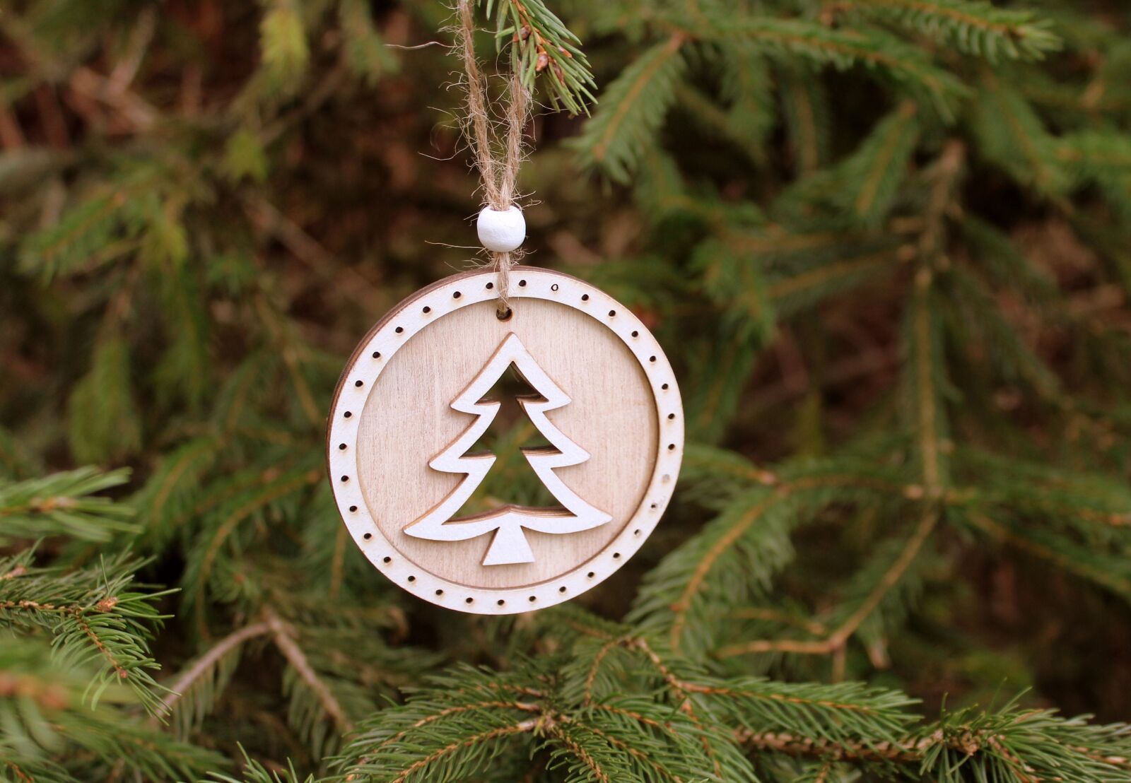 Canon EOS 1200D (EOS Rebel T5 / EOS Kiss X70 / EOS Hi) sample photo. Christmas tree, ornament, holidays photography