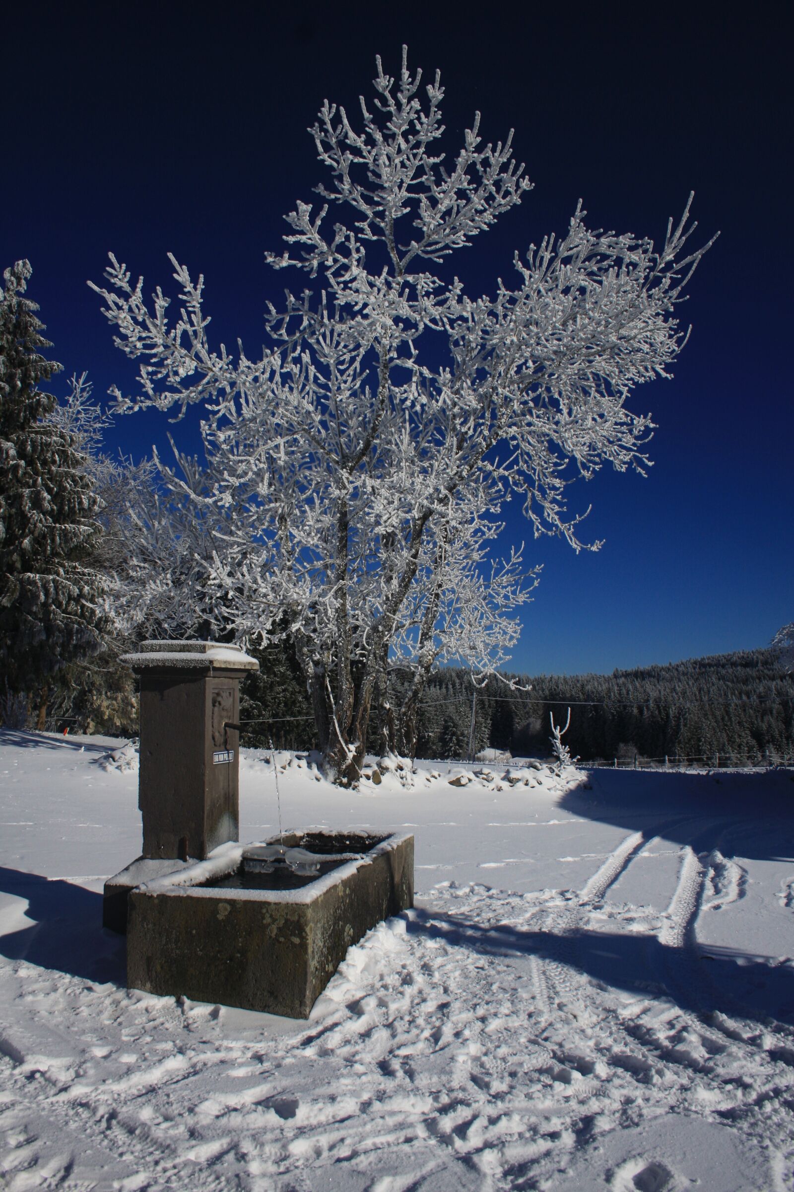 Canon EOS 40D sample photo. Snow, scene, winter photography