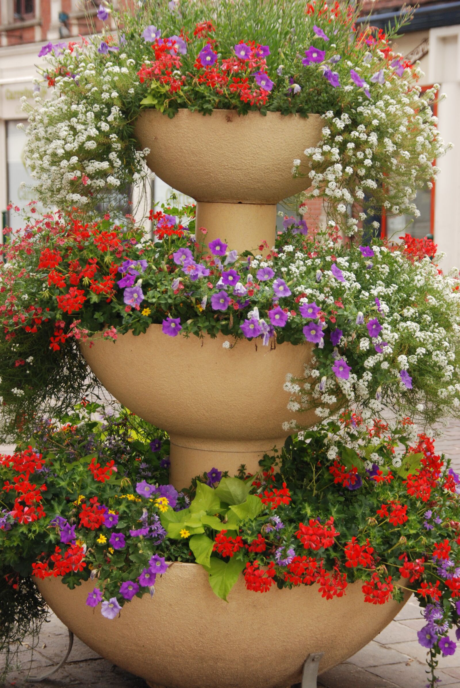 Nikon D80 sample photo. Planter, flower pot, flower photography