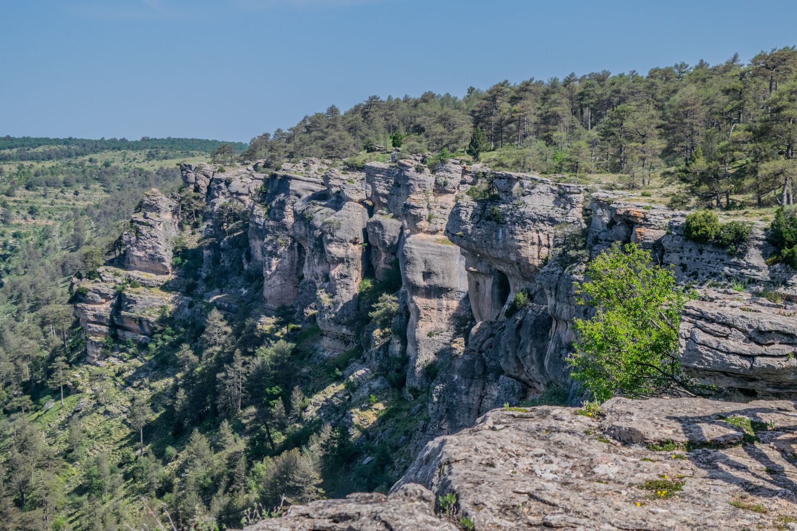 Nikon D3300 sample photo. Sierra, nature, basin photography
