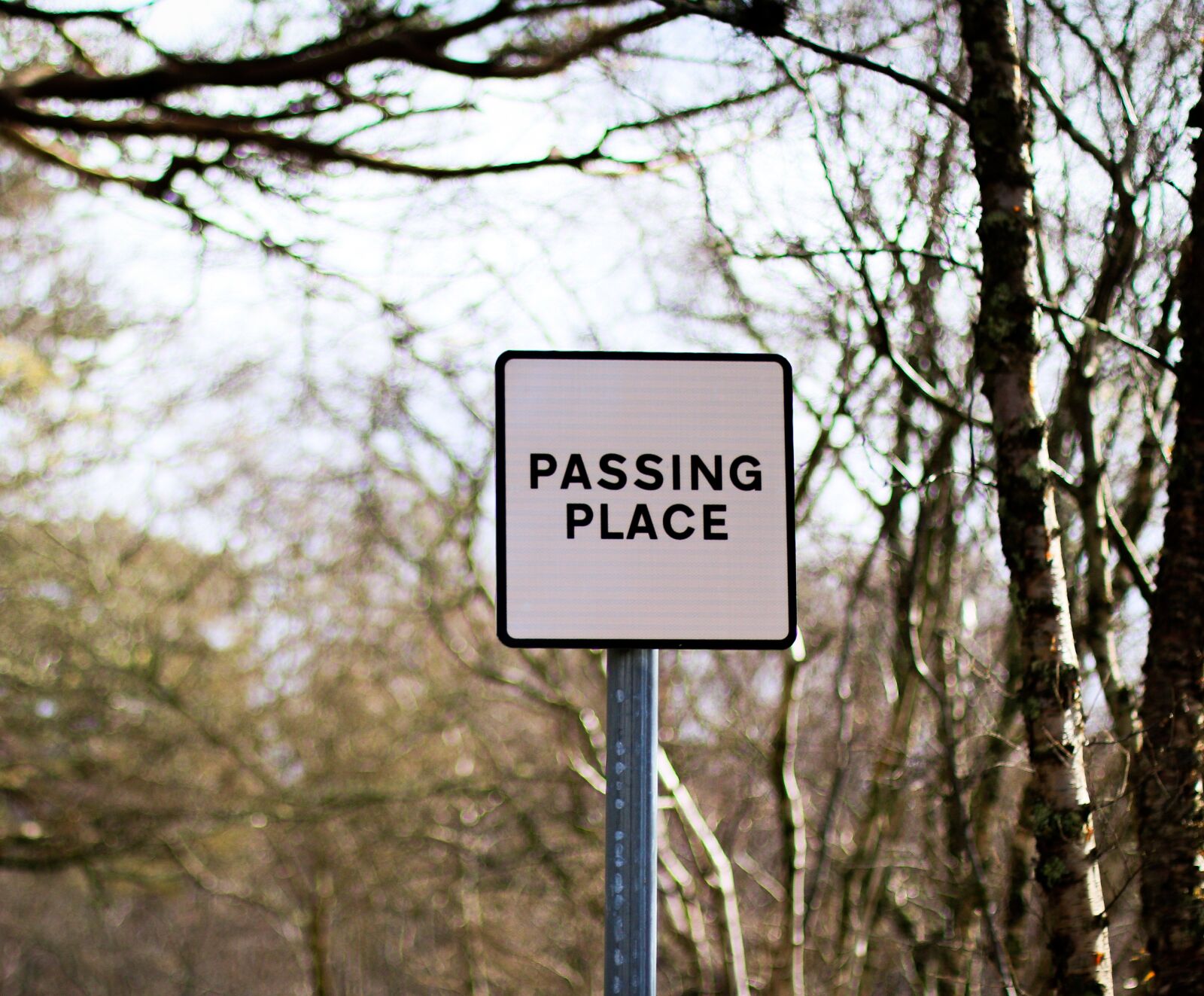 Canon EOS 70D + Canon EF 50mm F1.4 USM sample photo. Passing place, sign, place photography