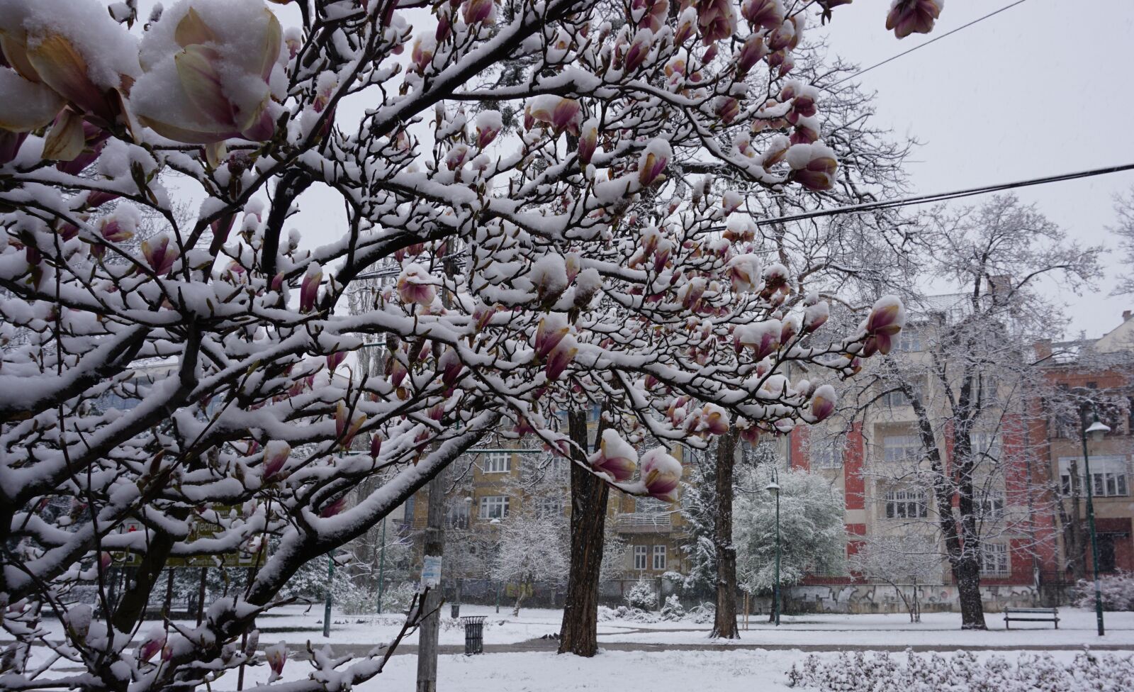 Sony E 16-50mm F3.5-5.6 PZ OSS sample photo. Sarajevo, winter, spring photography