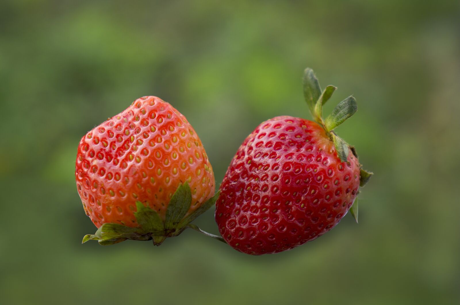 Sony Alpha NEX-F3 + Sony E 18-55mm F3.5-5.6 OSS sample photo. Food, fruits, strawberries photography