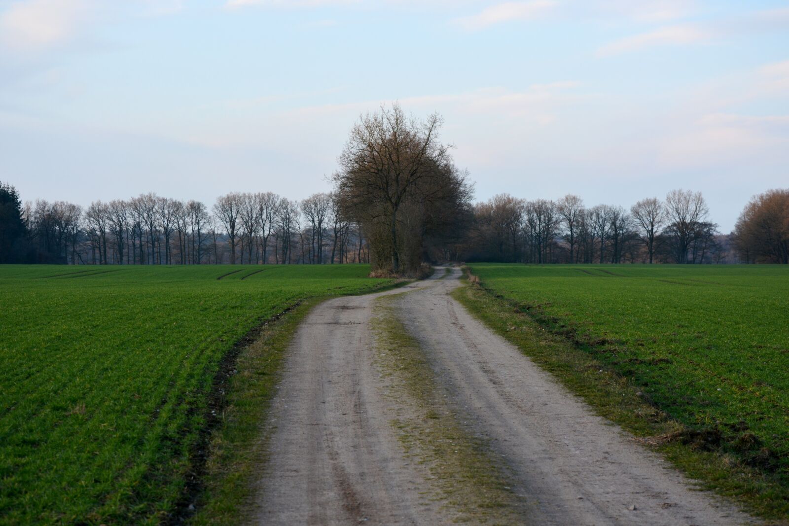 Nikon D7100 sample photo. Nature, field mark, spring photography