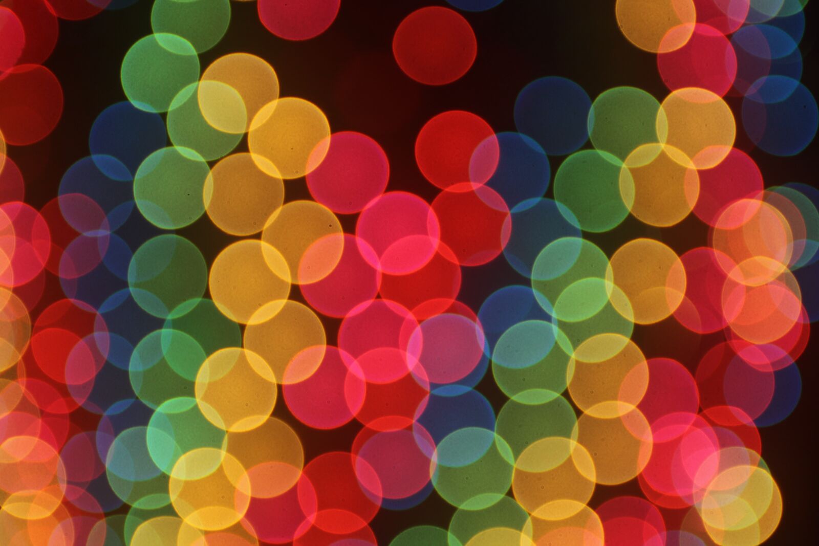 Canon EOS 5D Mark II sample photo. Bokeh, lights, christmas photography