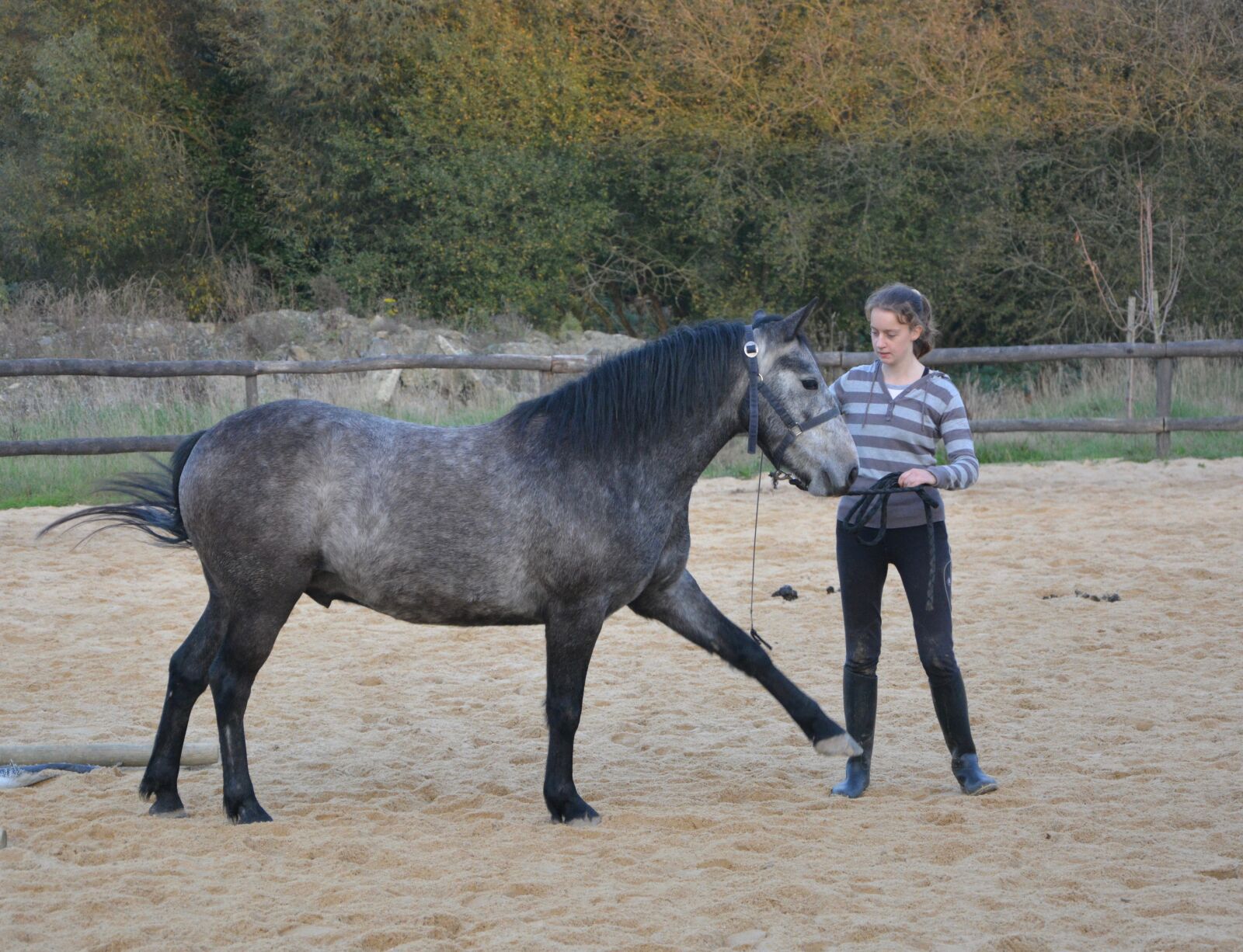 Nikon D5200 sample photo. Horse girl, complicity, sport photography