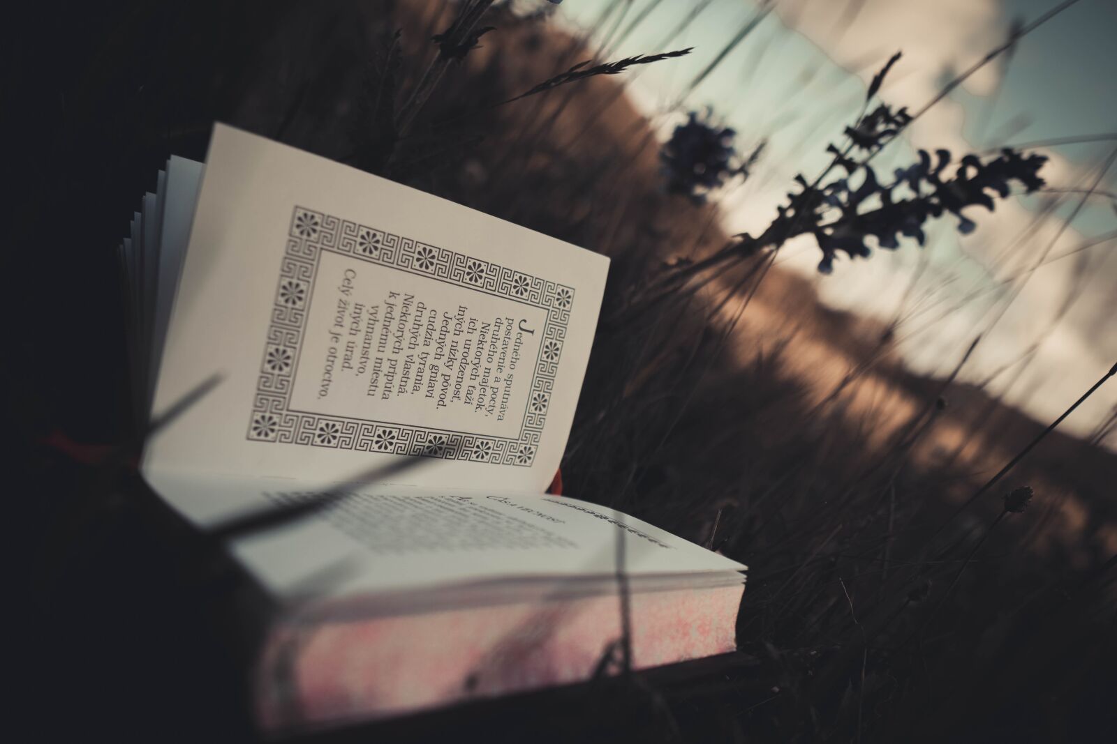 Sony a6400 + Sigma 16mm F1.4 DC DN | C sample photo. Stocizmus, philosophy, book photography