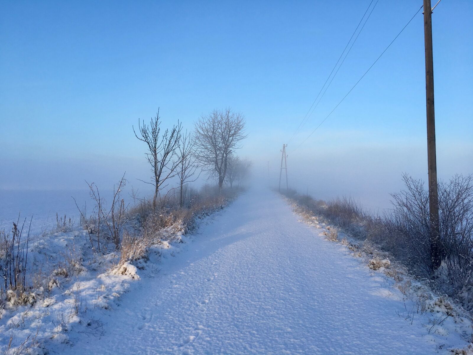 Apple iPhone 6s sample photo. Winter, snow, cold photography