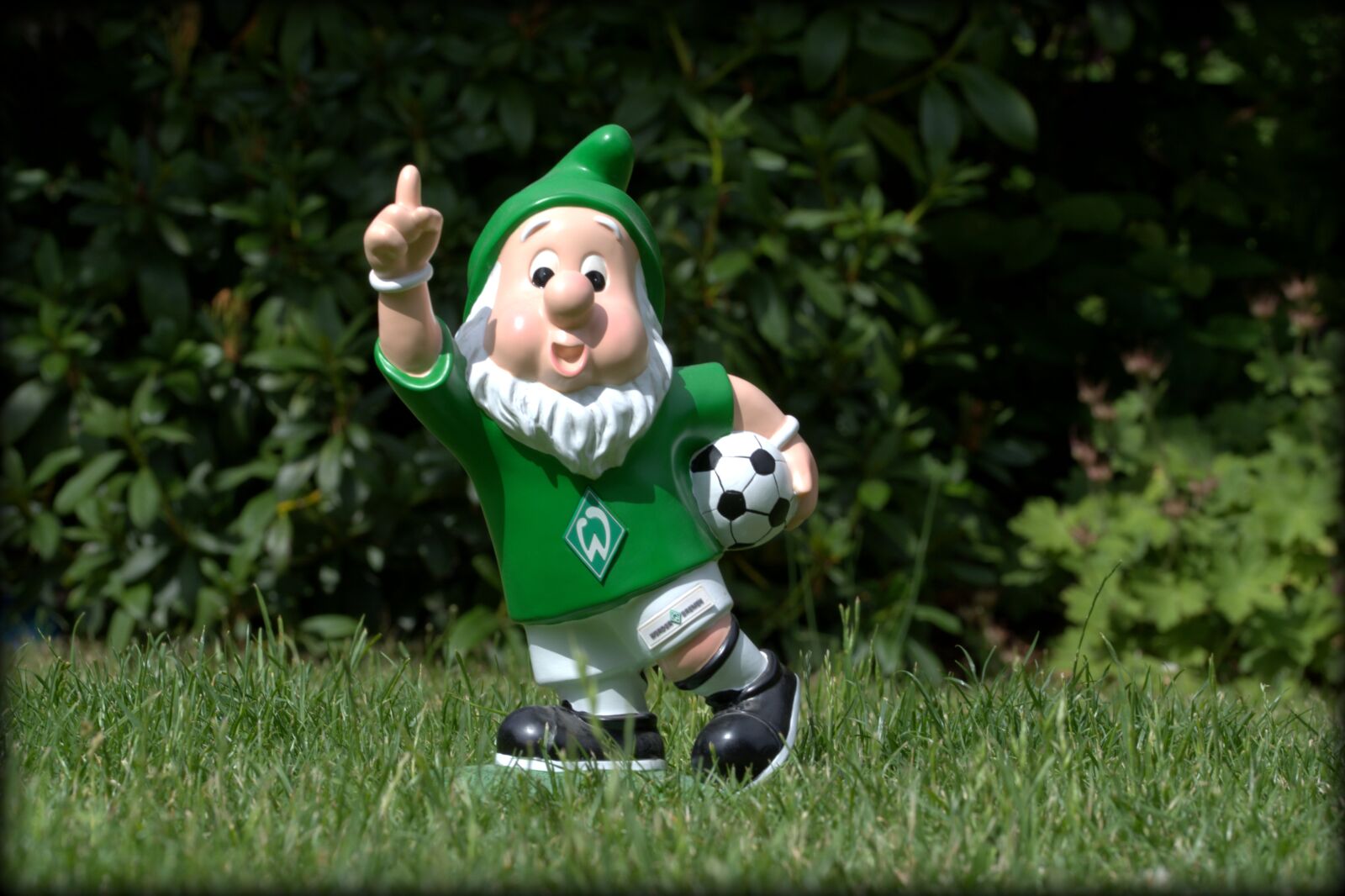 Nikon D5200 sample photo. Garden gnome, werderbremen, fan photography