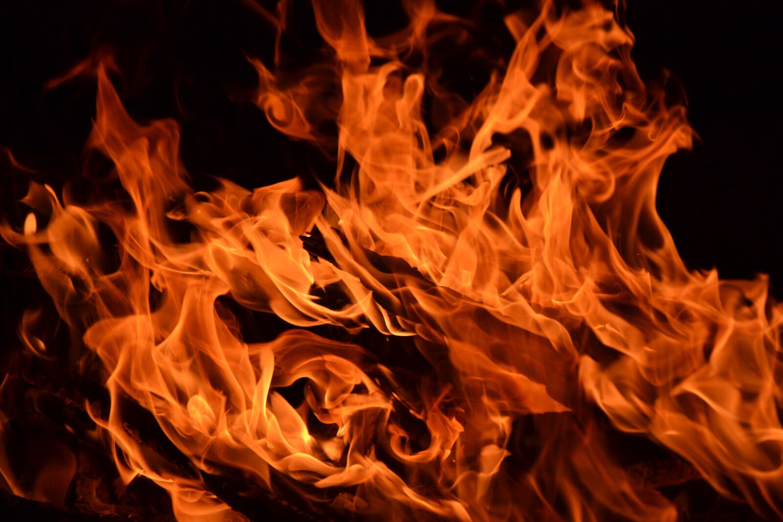 Nikon D3100 sample photo. Flame, fire, embers photography