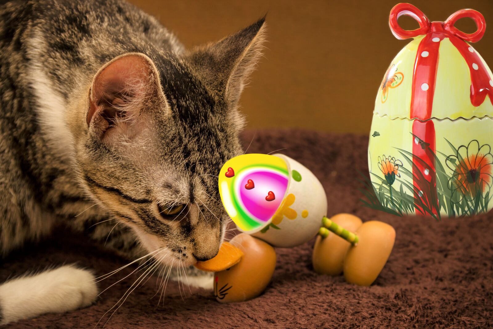 Canon EF-S 18-135mm F3.5-5.6 IS sample photo. Cat, mackerel, egg photography