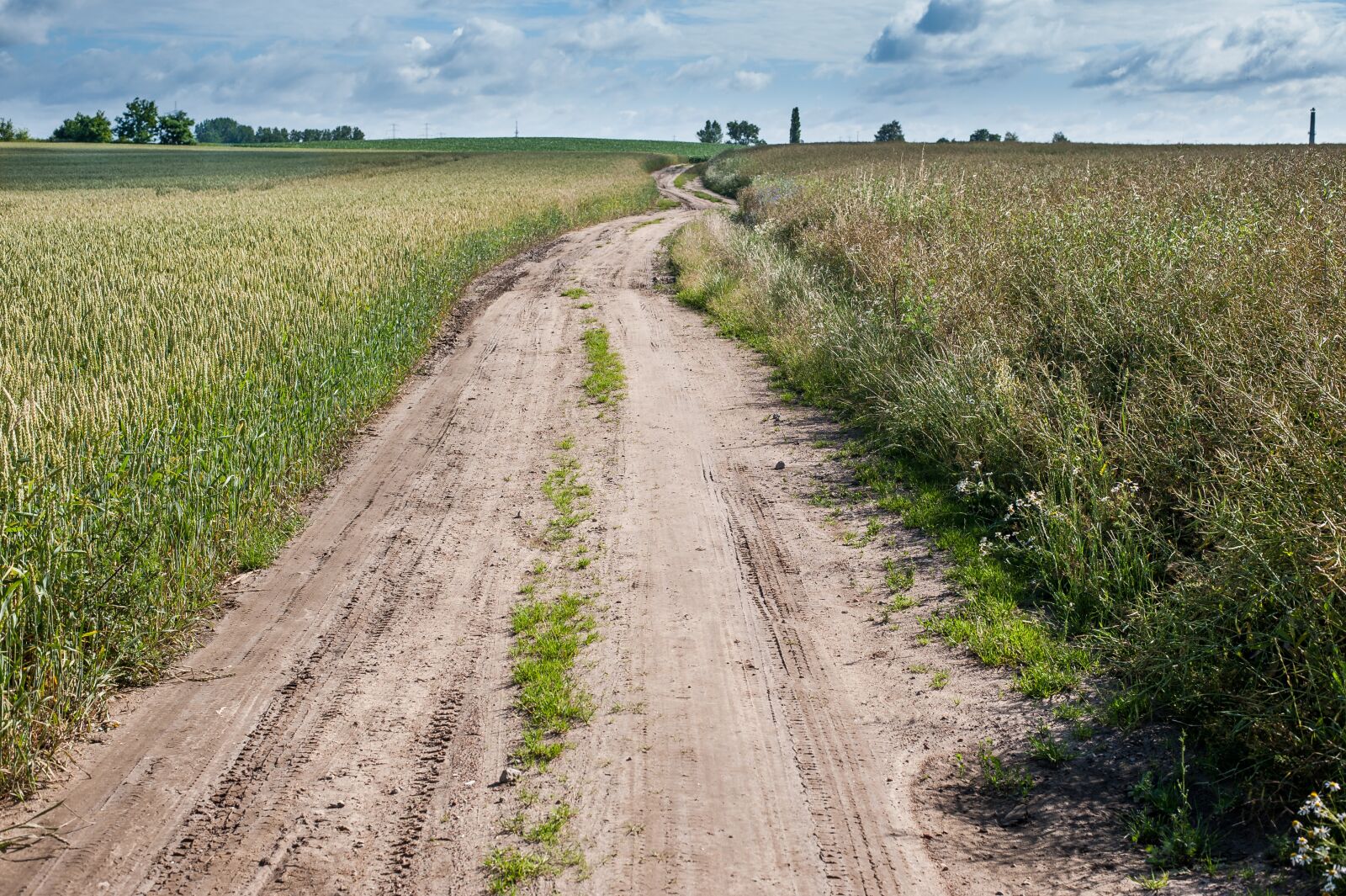 Nikon D700 sample photo. Horizon, away, field photography