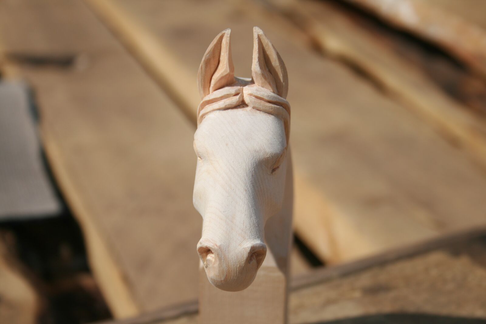 Canon EOS 400D (EOS Digital Rebel XTi / EOS Kiss Digital X) sample photo. Woodcarving, horse, mongolia photography