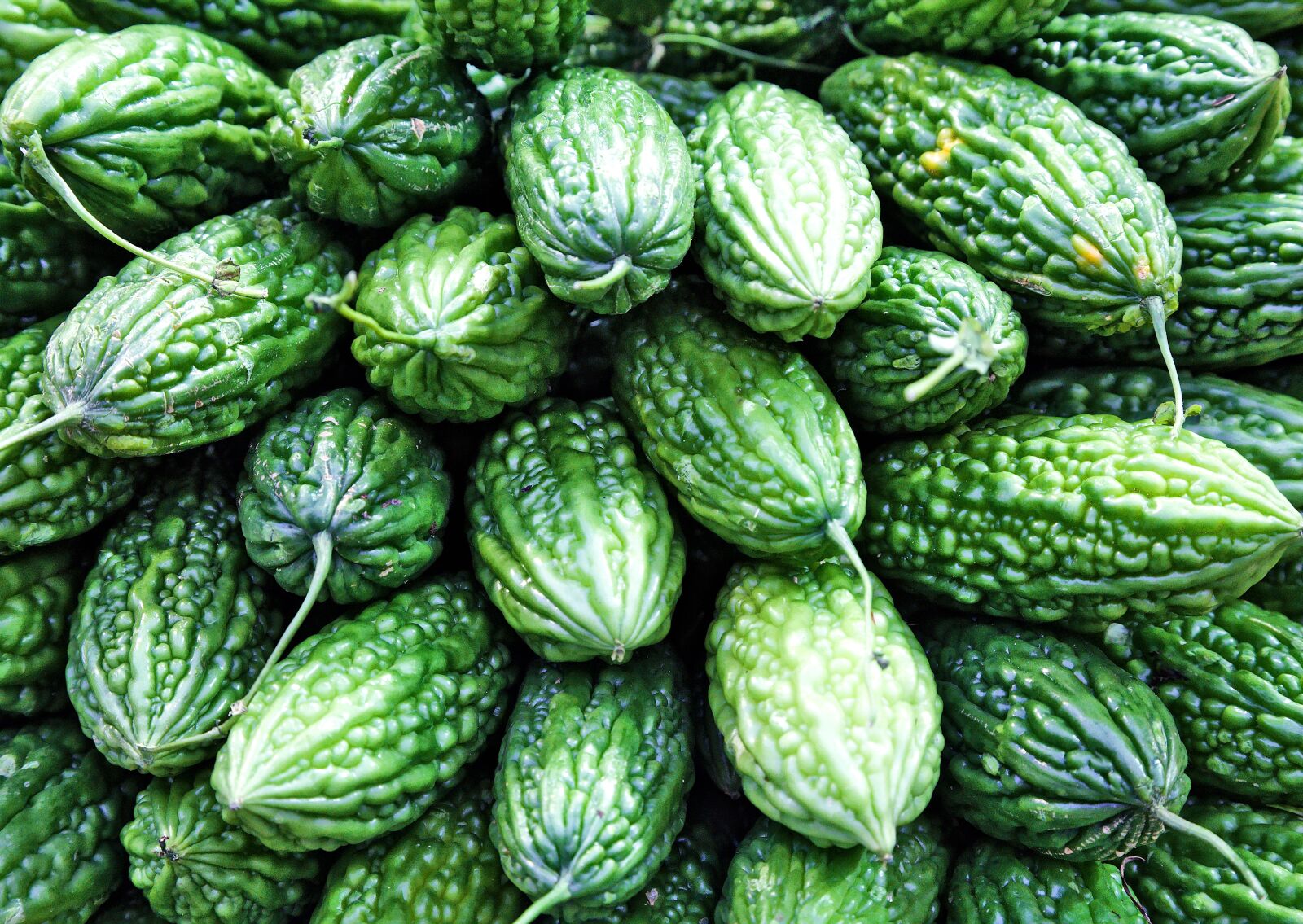 Canon EOS 6D + Canon EF 24-105mm F4L IS USM sample photo. Eat, food, bitter cucumber photography