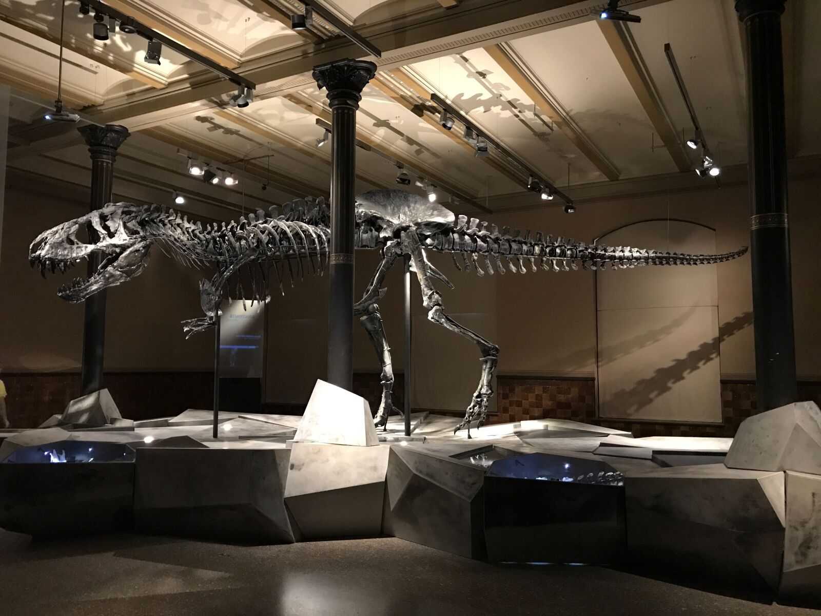 Apple iPhone 7 sample photo. Dinosaur, museum, t rex photography