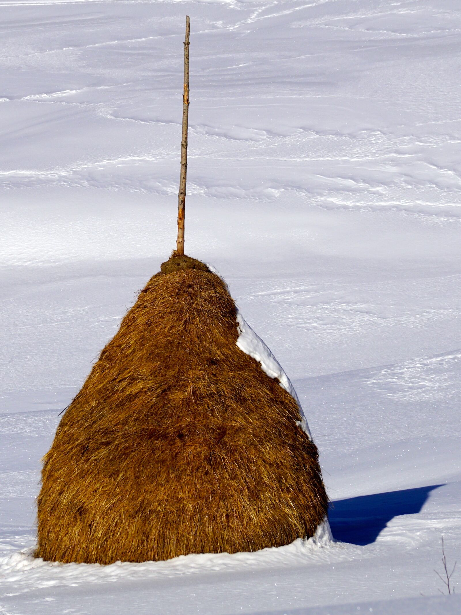 Sony DT 55-300mm F4.5-5.6 SAM sample photo. Haystack, snow, winter photography