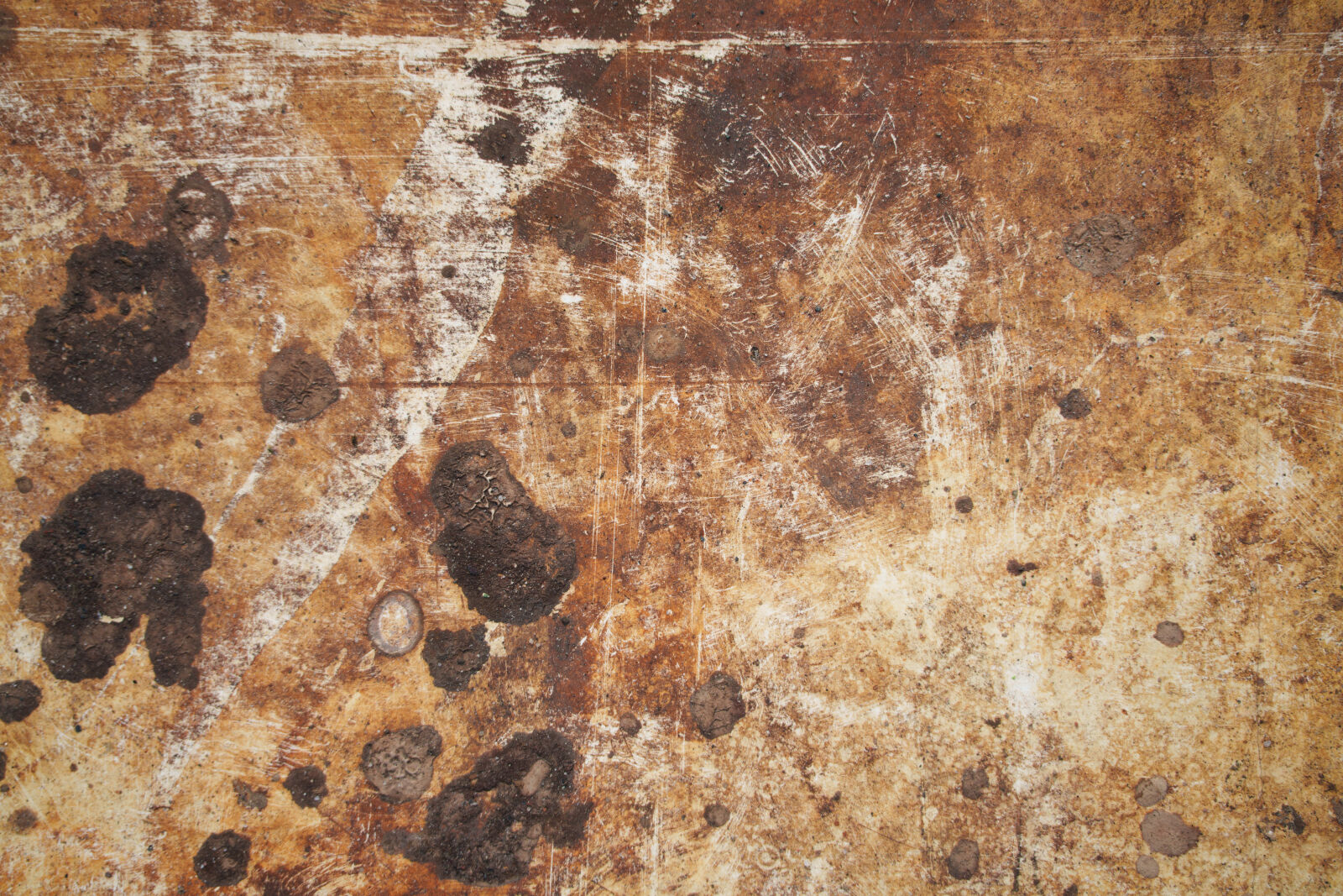 Sony a7R V sample photo. Dirty wall photography