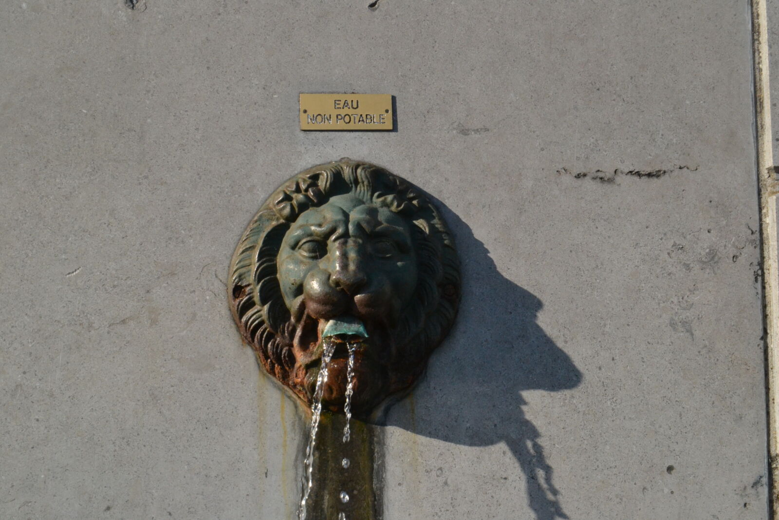 Nikon D3100 sample photo