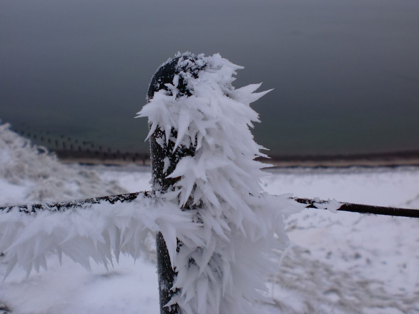 CASIO EX-Z90 sample photo. Ice, winter, snow photography