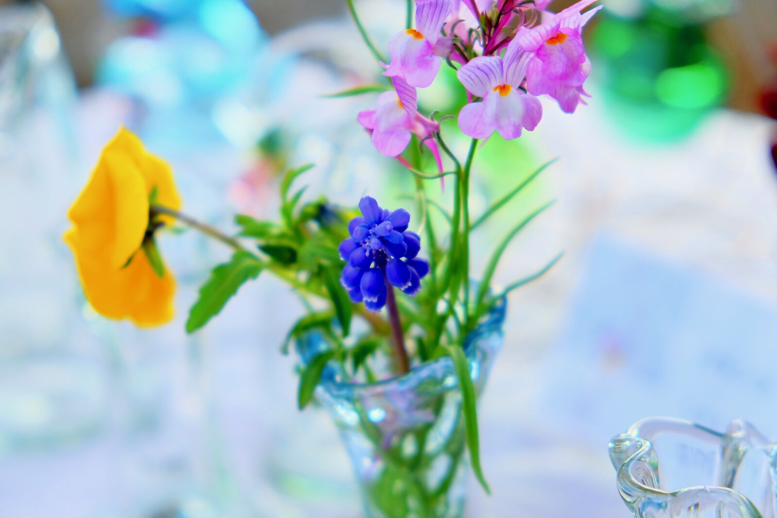 Fujifilm X-T10 sample photo. Flowers, grass, bottle photography
