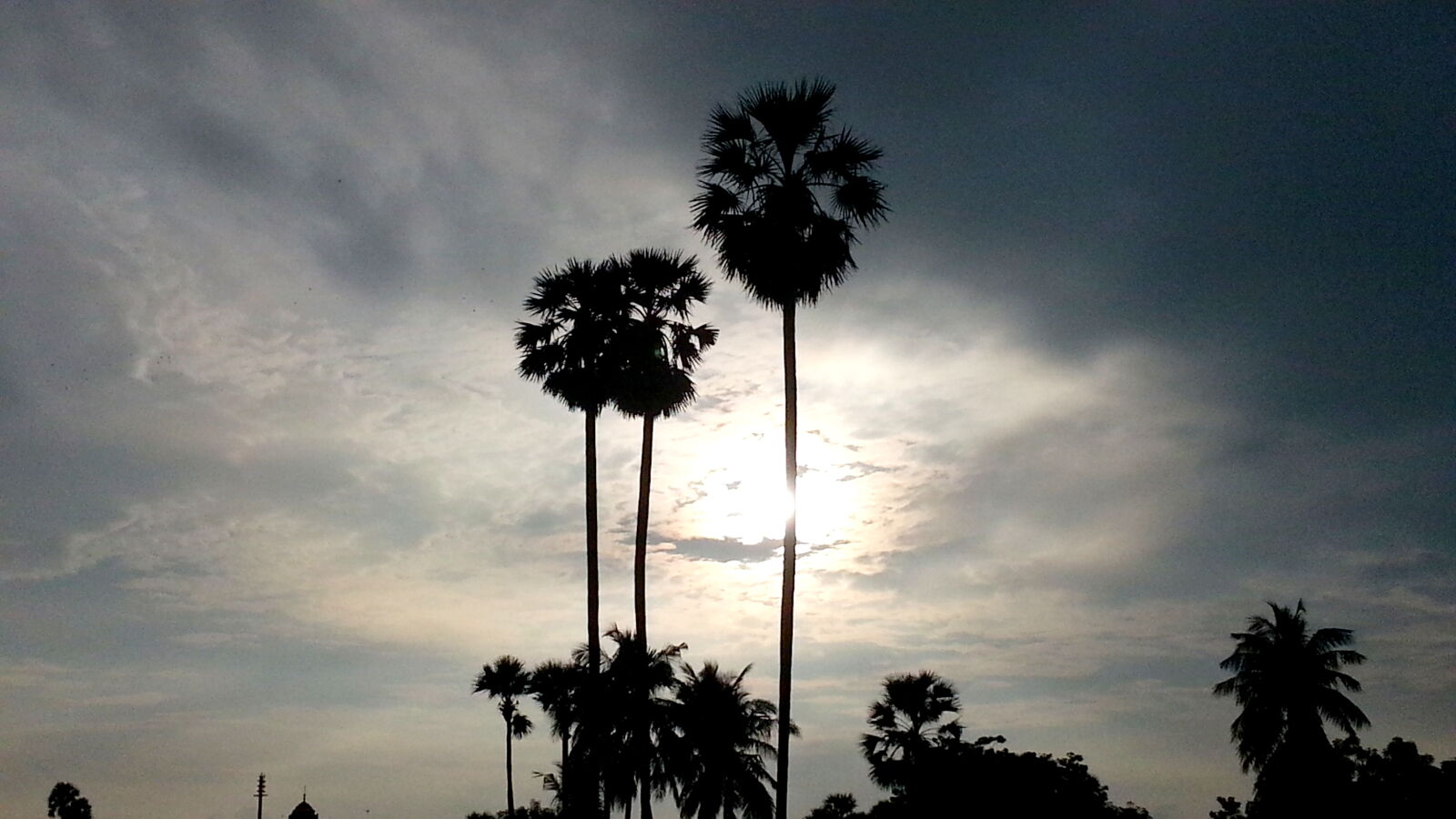 Samsung Galaxy Note2 sample photo
