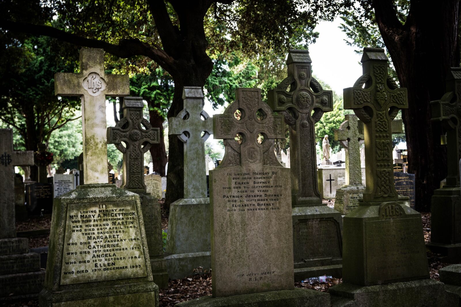 Sony a6500 + Sony Vario-Tessar T* E 16-70mm F4 ZA OSS sample photo. Glasnevin, dublin, ireland photography