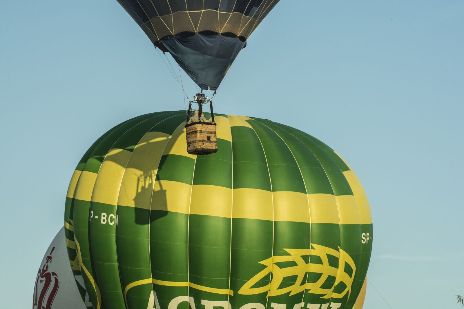 Nikon D7100 sample photo. Balloon, race bubble, balloon photography