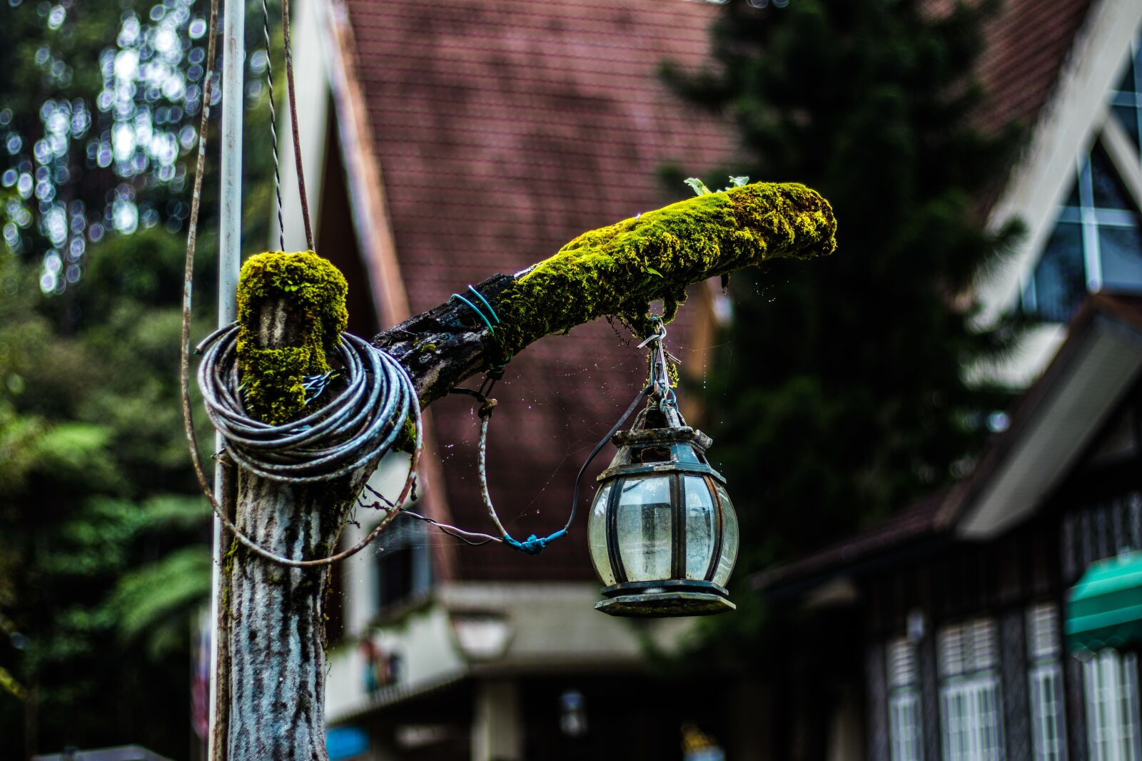 Canon EOS 77D (EOS 9000D / EOS 770D) + Canon EF 50mm F1.8 STM sample photo. Outdoors, travel, lamp photography