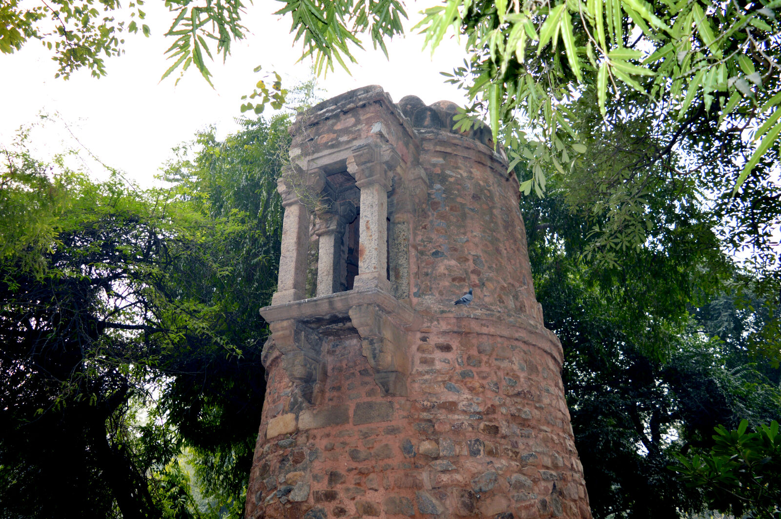 Nikon D3200 sample photo. Green, monument, monuments photography