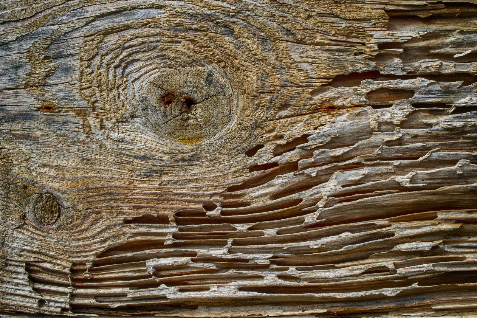 Nikon D3300 sample photo. Wood, old, weathered photography