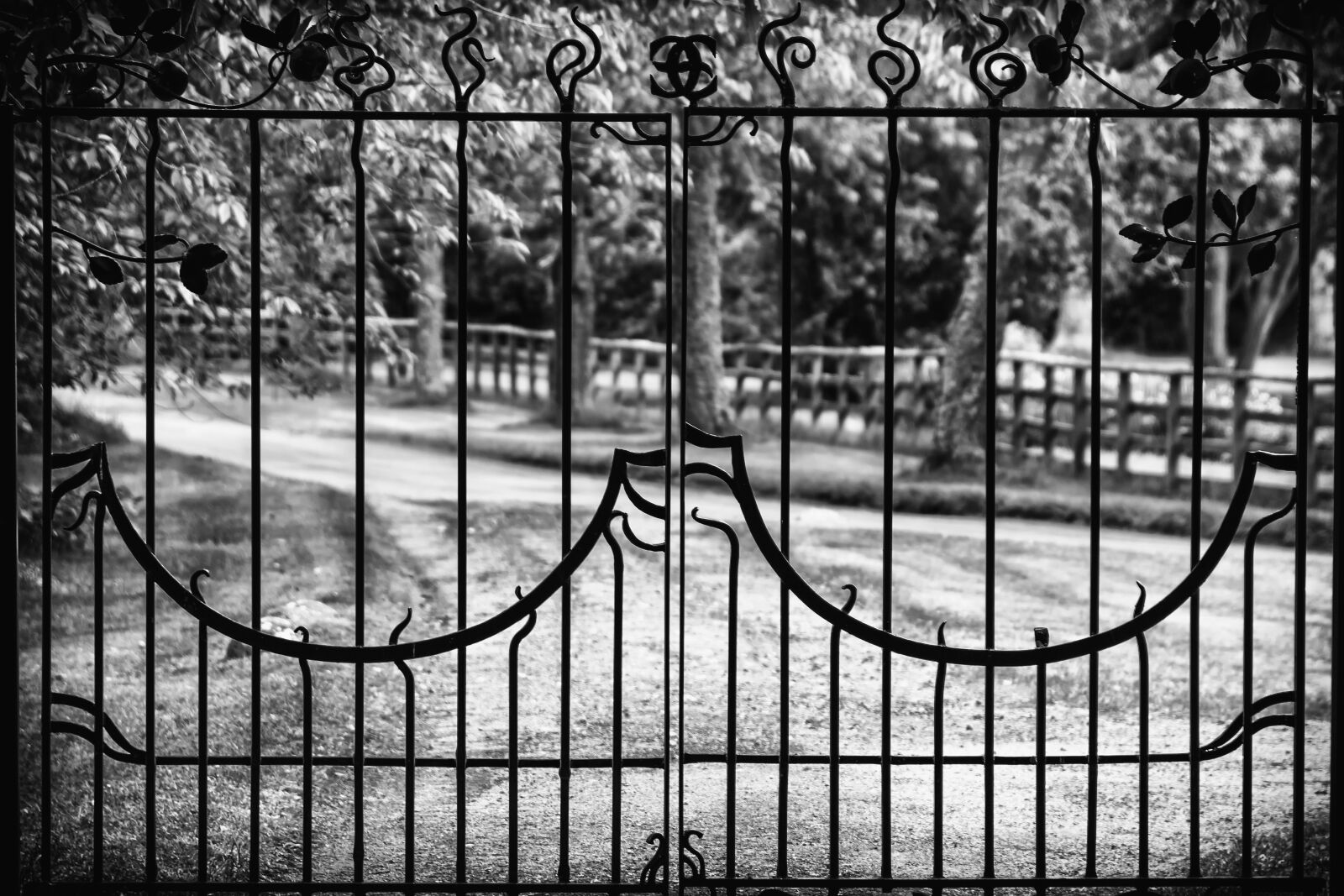 Nikon D3300 sample photo. Goal, grid, input photography