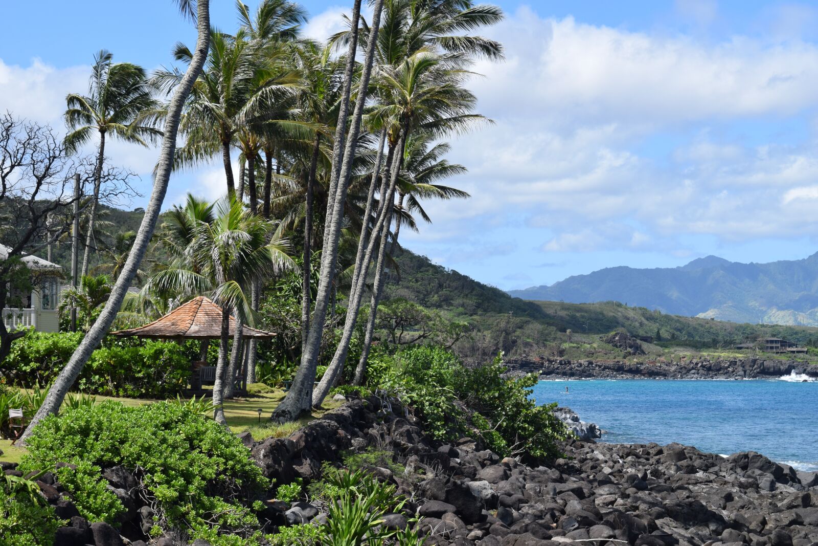 Nikon D3300 sample photo. Big island, landscape, beach photography