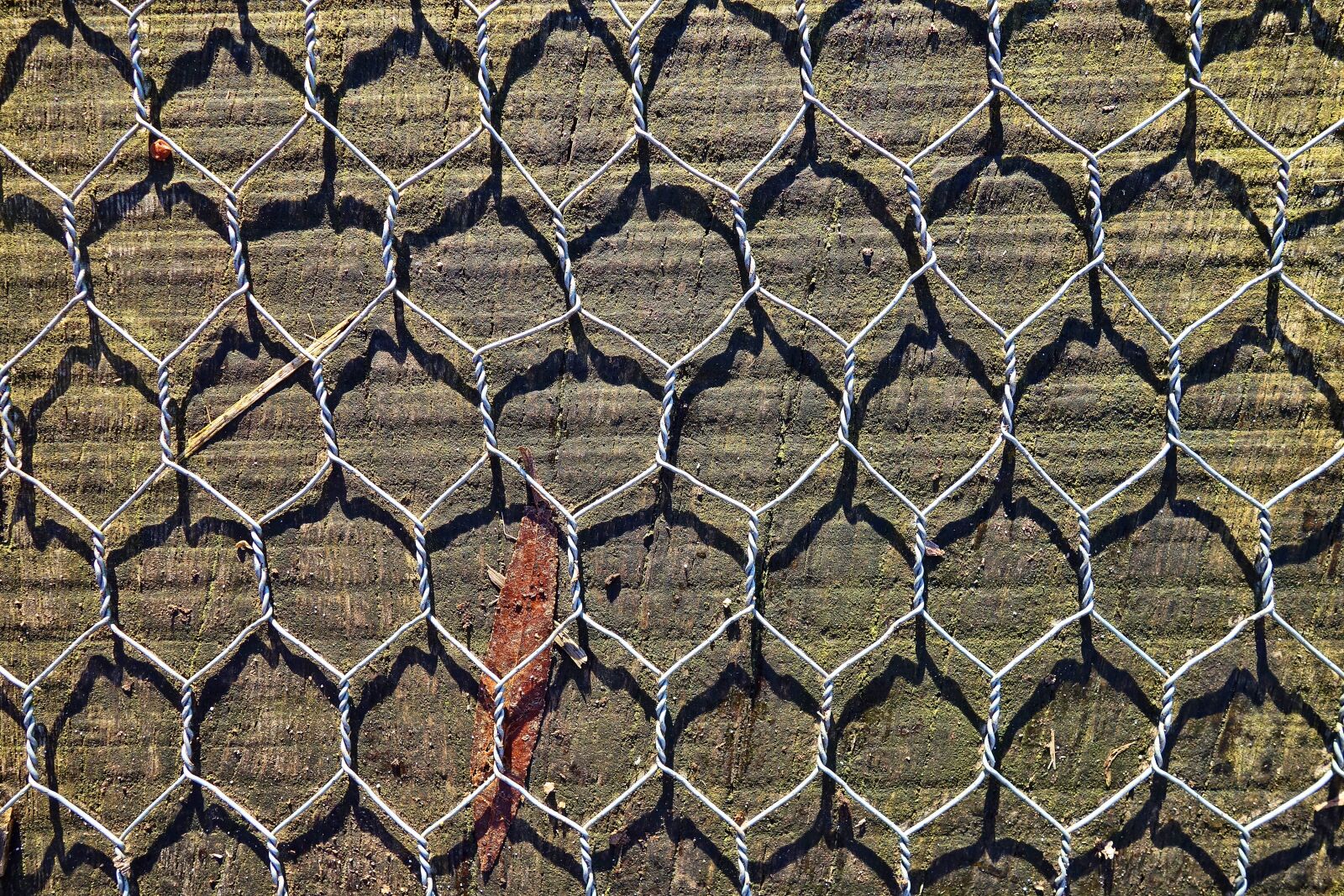 Sony Cyber-shot DSC-RX100 sample photo. Wire mesh, wire, mesh photography