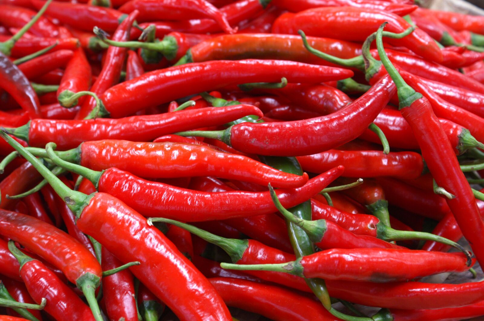 KONICA MINOLTA DYNAX 5D sample photo. Chili pepper, market, vegetables photography