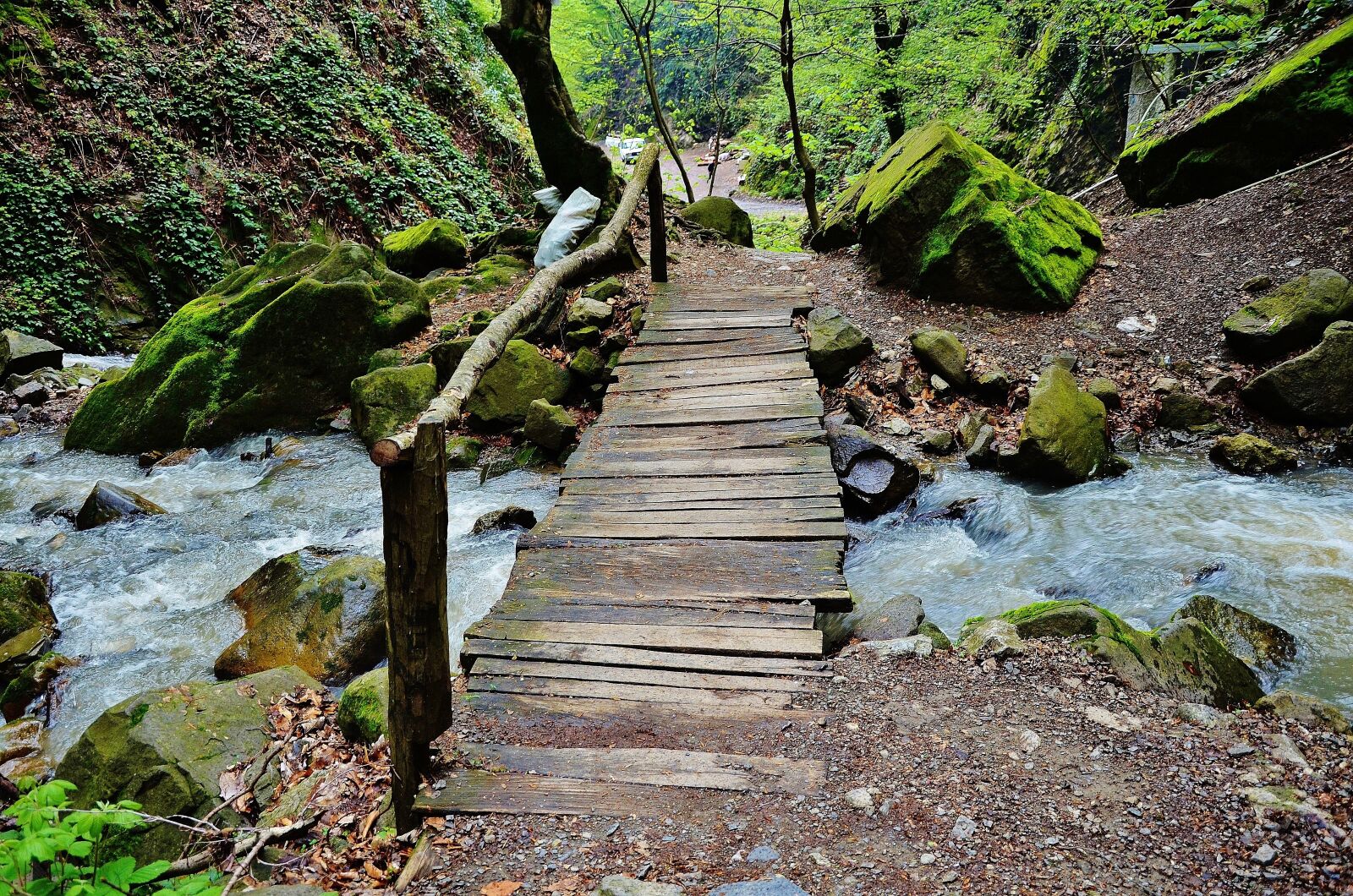 Nikon D7000 sample photo. Forest, water, steps photography