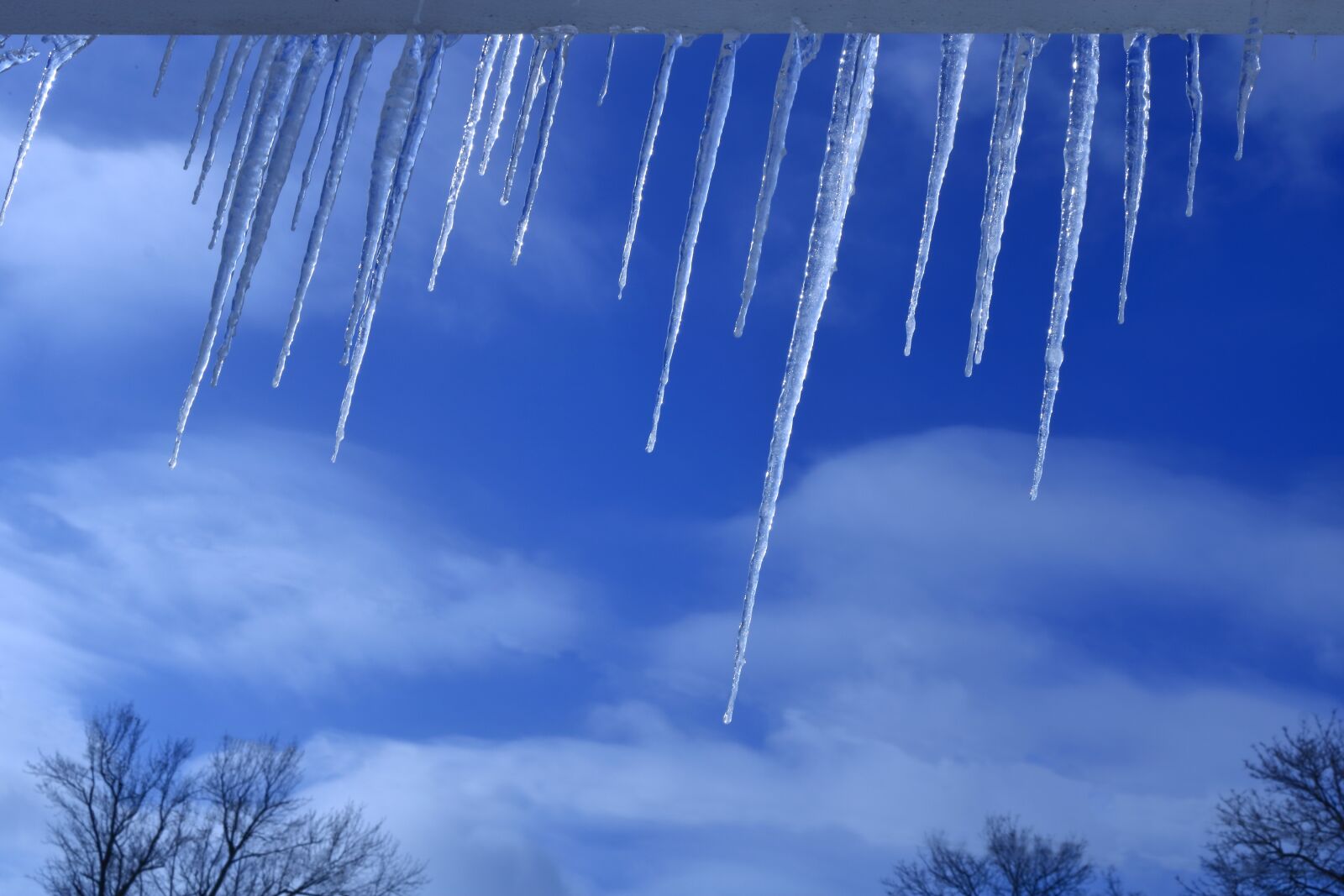 Canon EOS 750D (EOS Rebel T6i / EOS Kiss X8i) sample photo. Icycle, snow, cold photography