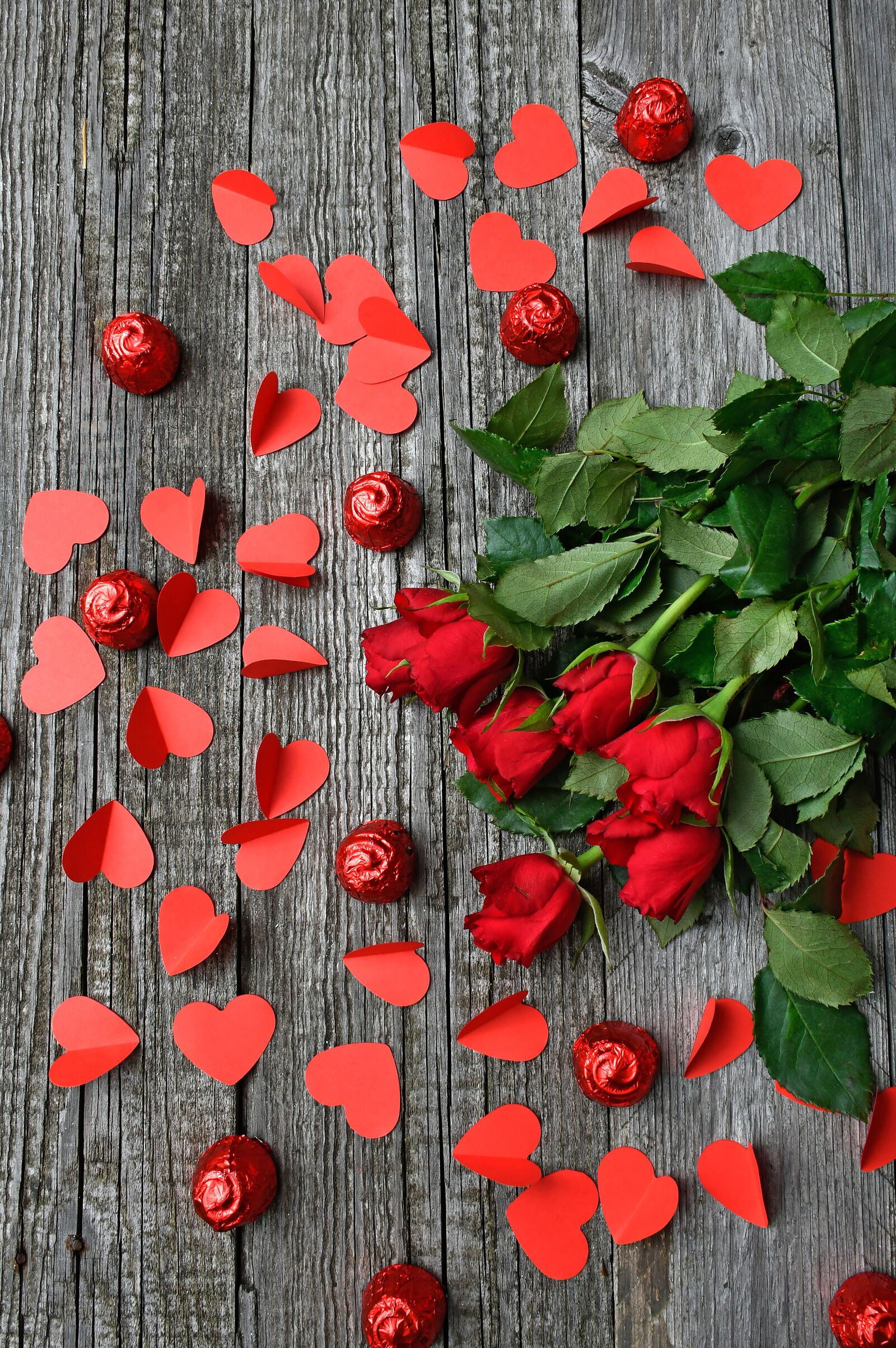 Nikon D3200 sample photo. Rose, valentine's, valentine's day photography
