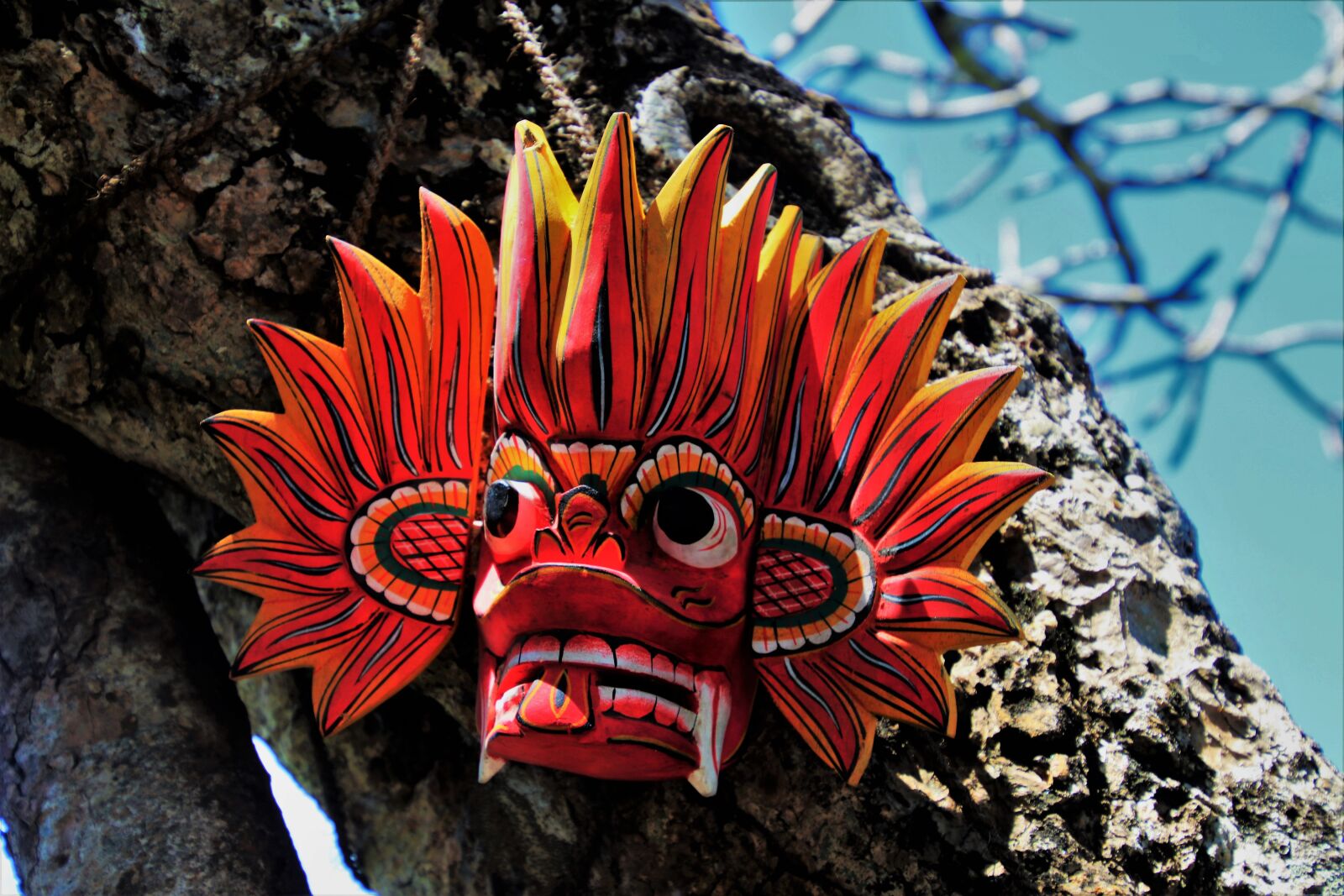 Canon EOS 80D sample photo. Mask, wooden, nature photography