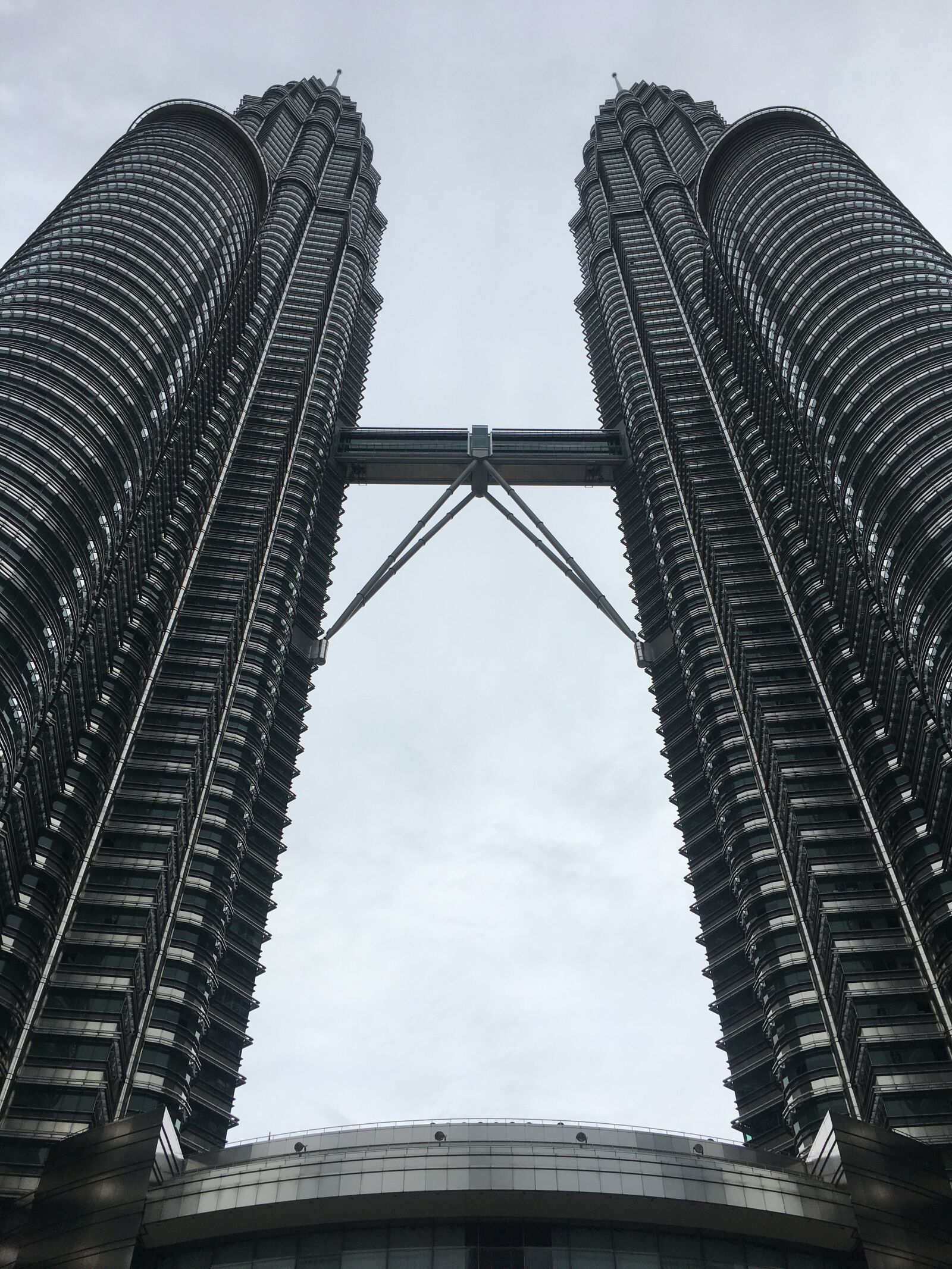 Apple iPhone 6s sample photo. Low, angle, view, of photography