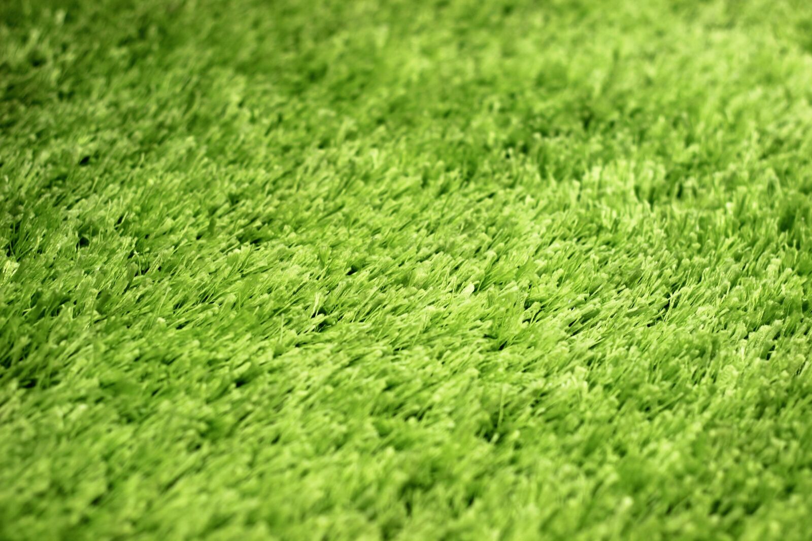 Canon EOS 600D (Rebel EOS T3i / EOS Kiss X5) + Canon EF 50mm F1.8 II sample photo. Macro, carpet, textiles photography