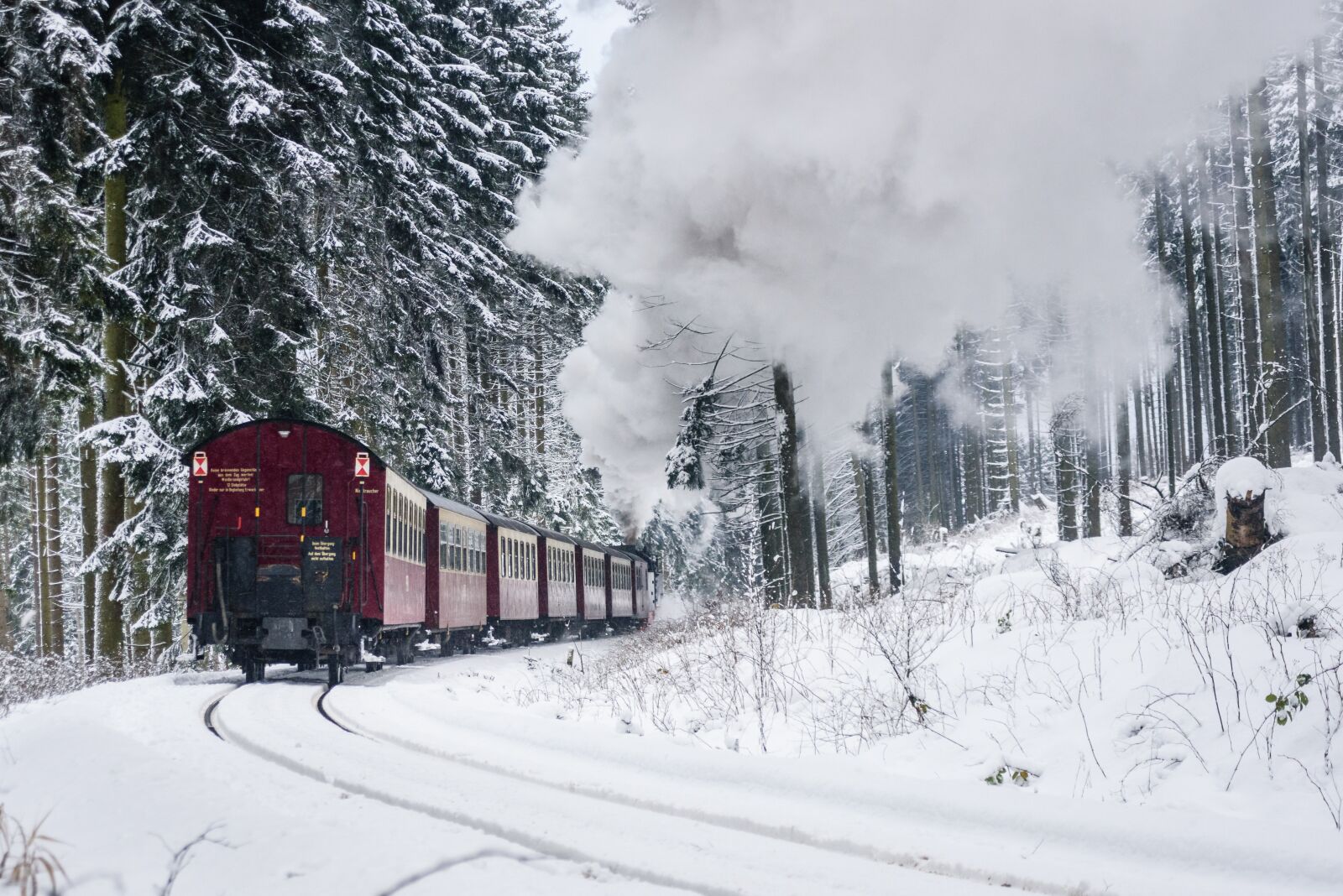 Nikon D750 sample photo. Harzer schmalspuhrbahn, wintry, full photography