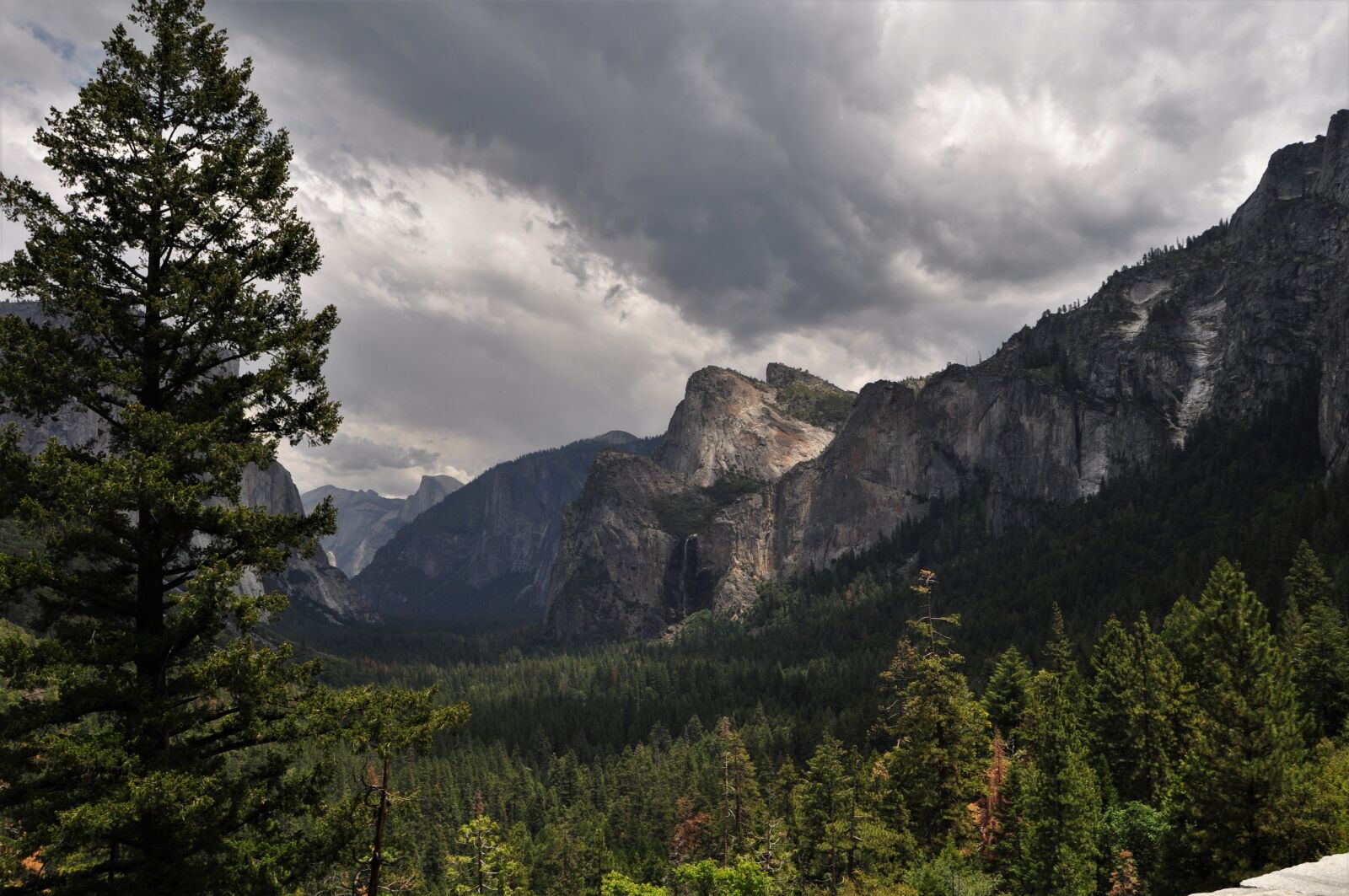 Nikon D5000 sample photo. Forest, mountains, trees photography