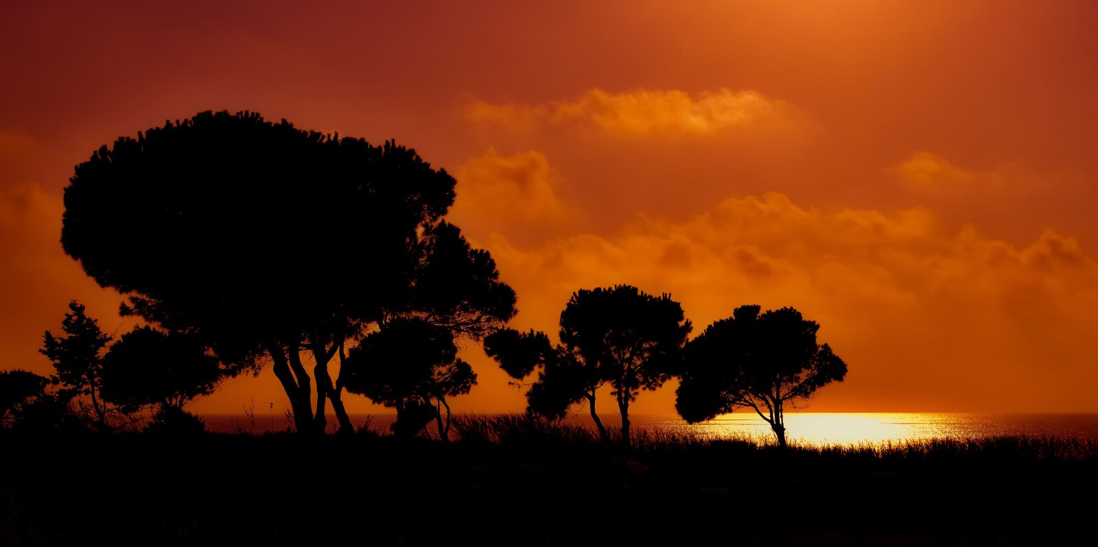 Nikon D3300 sample photo. Sunset, landscape, nature photography
