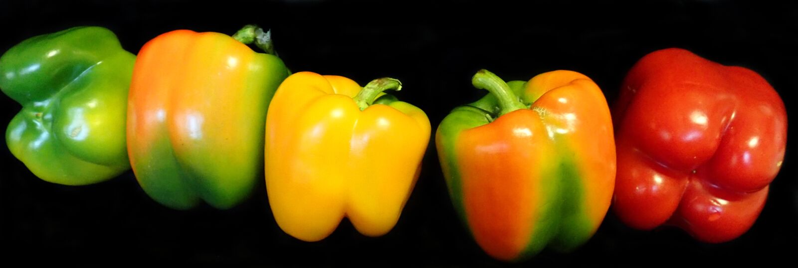 Olympus TG-5 sample photo. Vegetables, capsicums, peppers photography